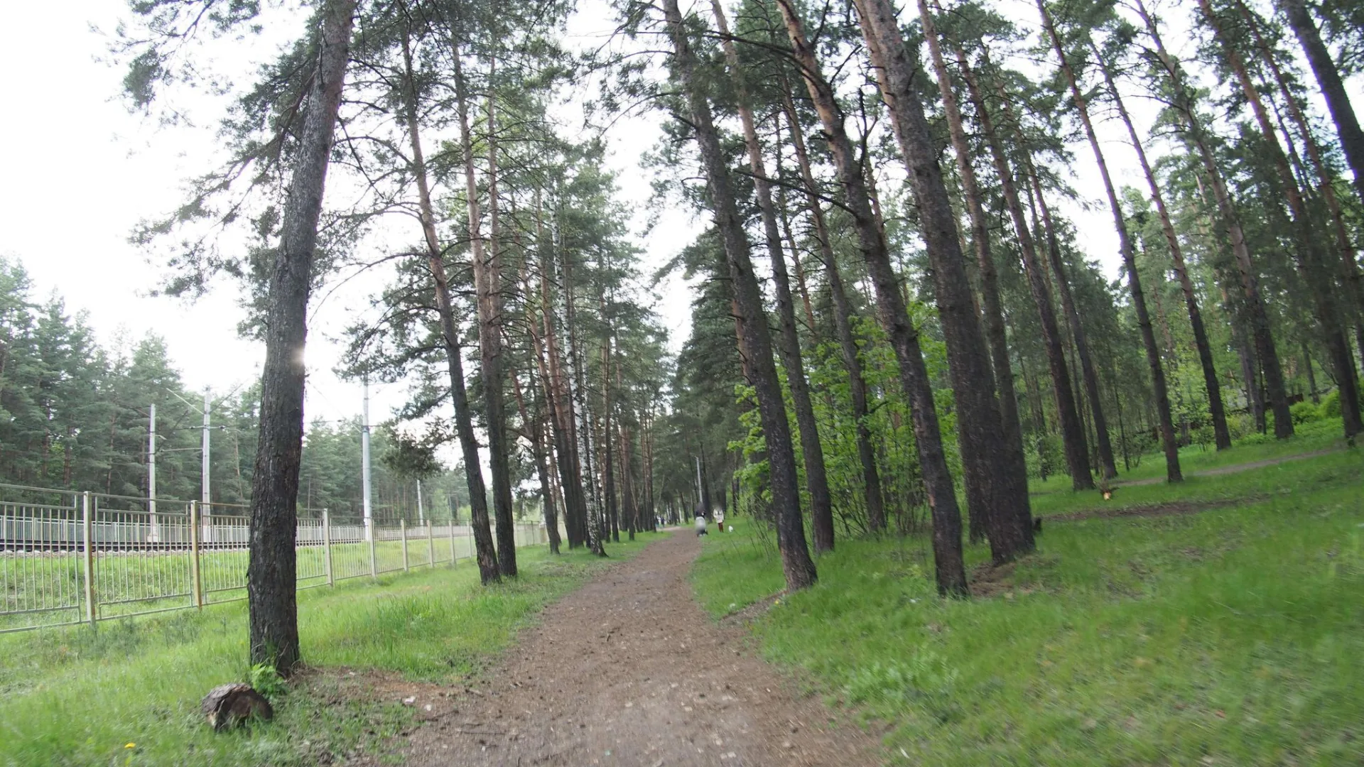 Маршрут «Кратово — Новое Село», 1,3 км