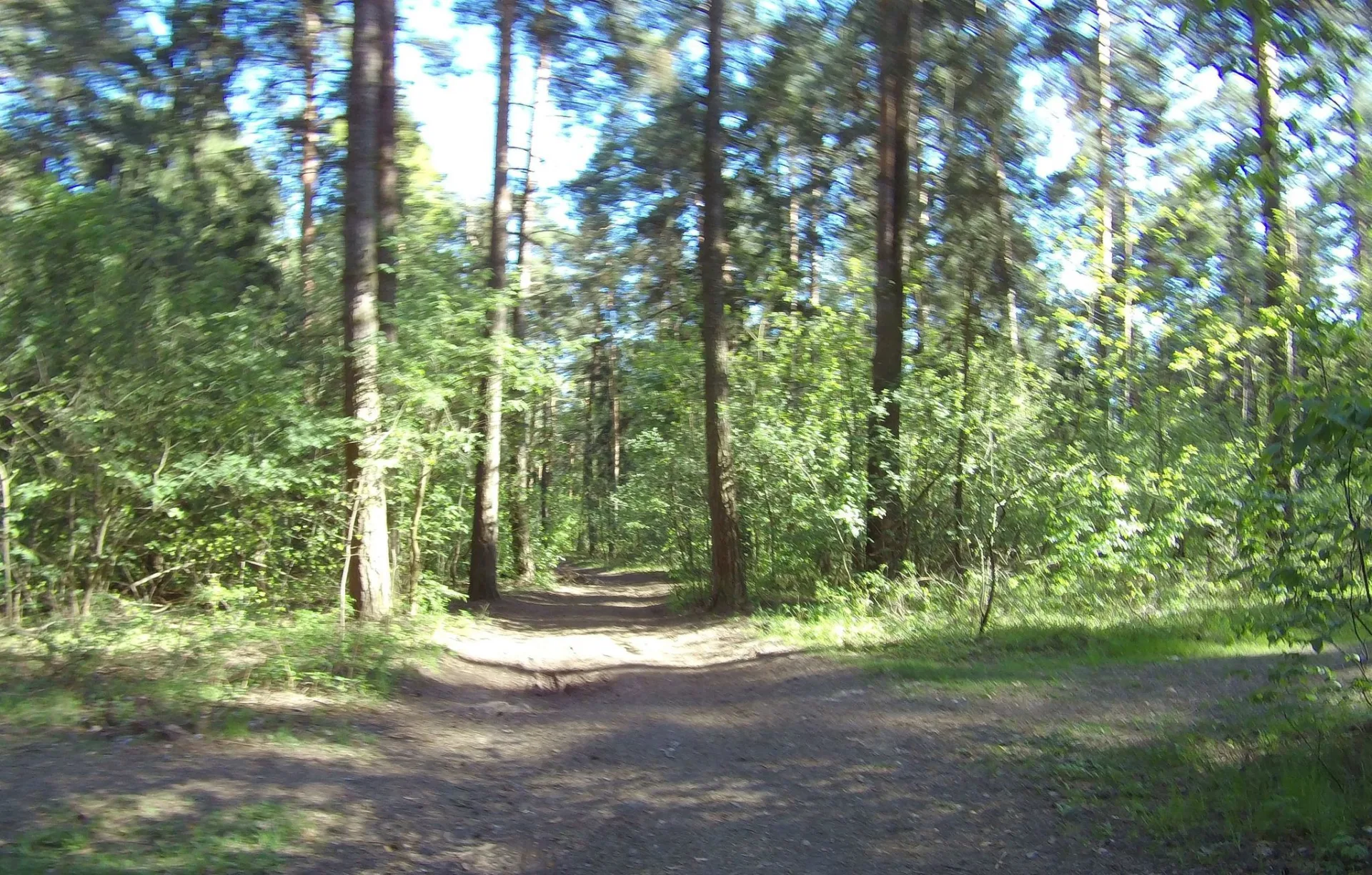 Маршрут «Кратово — Вишняково», 2,6 км