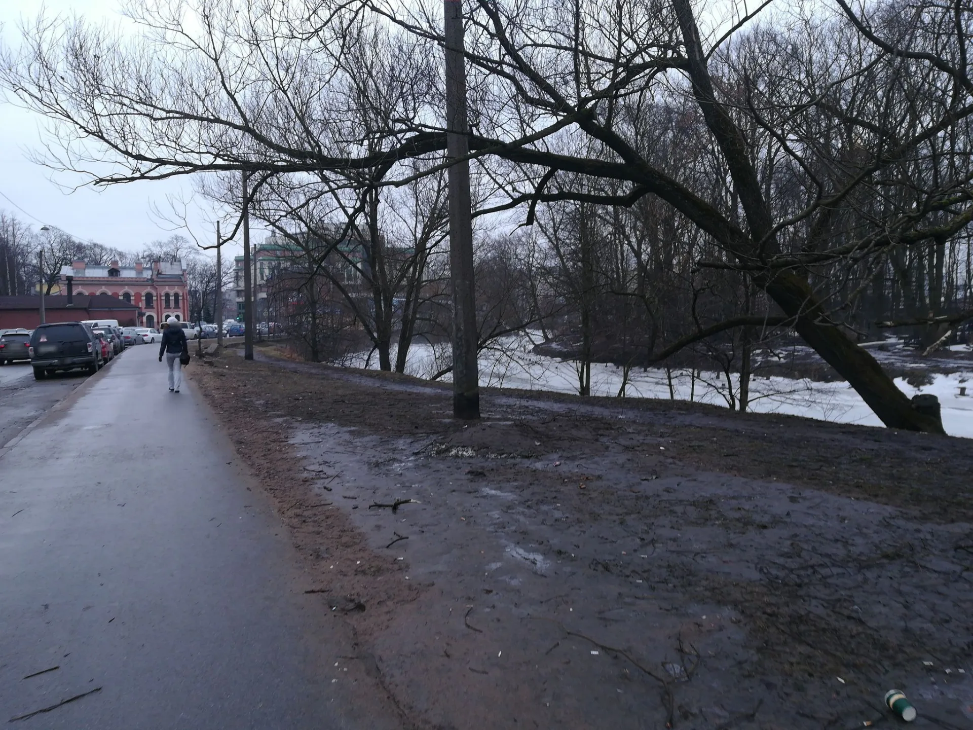 Маршрут «Крестовский — Сестрорецк», 2,3 км