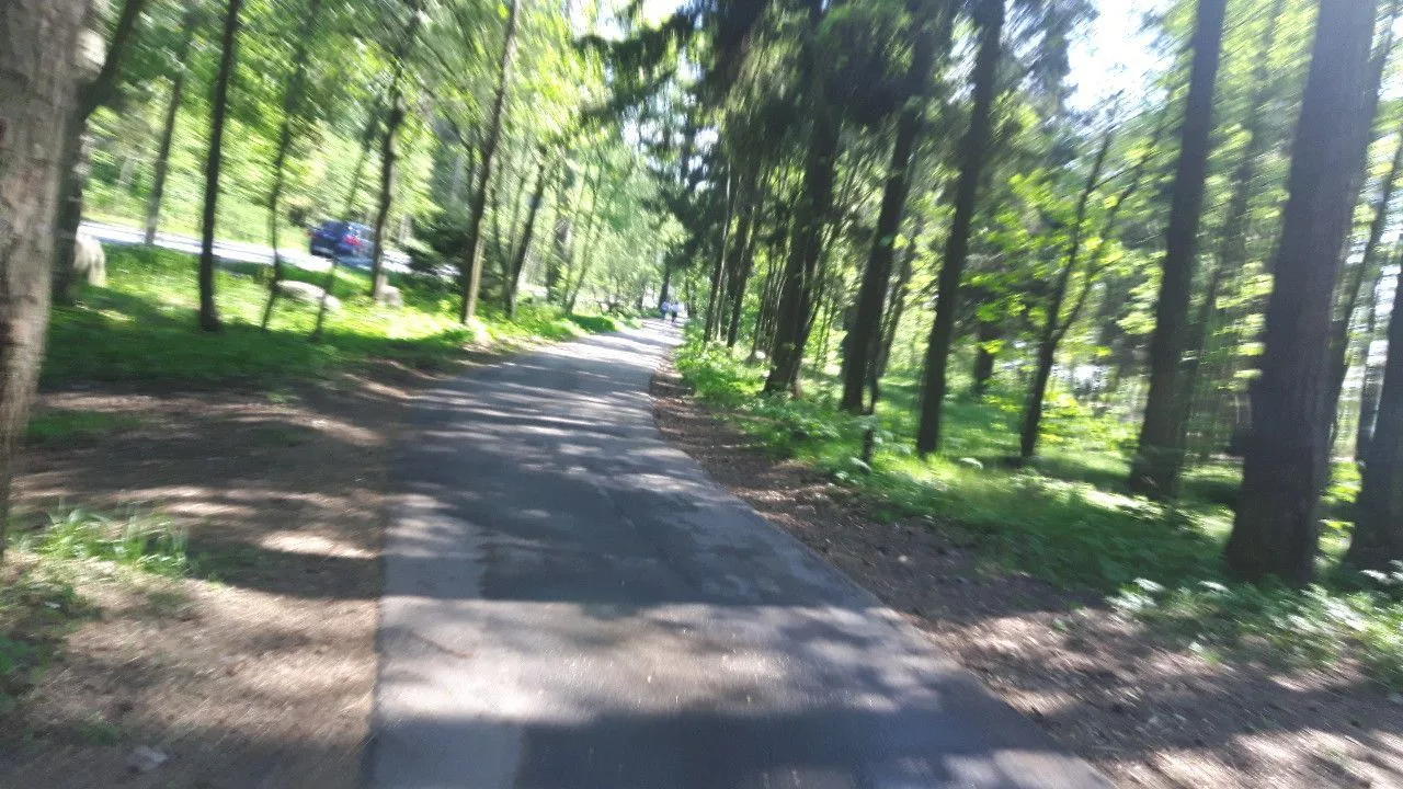 Маршрут «Кронштадт — Зеленогорск», 47,9 км