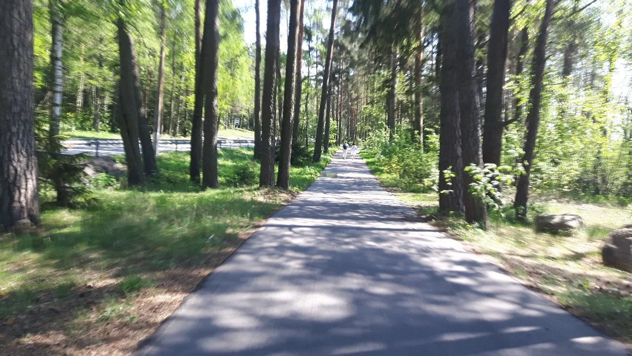 Маршрут «Кронштадт — Зеленогорск», 50,3 км