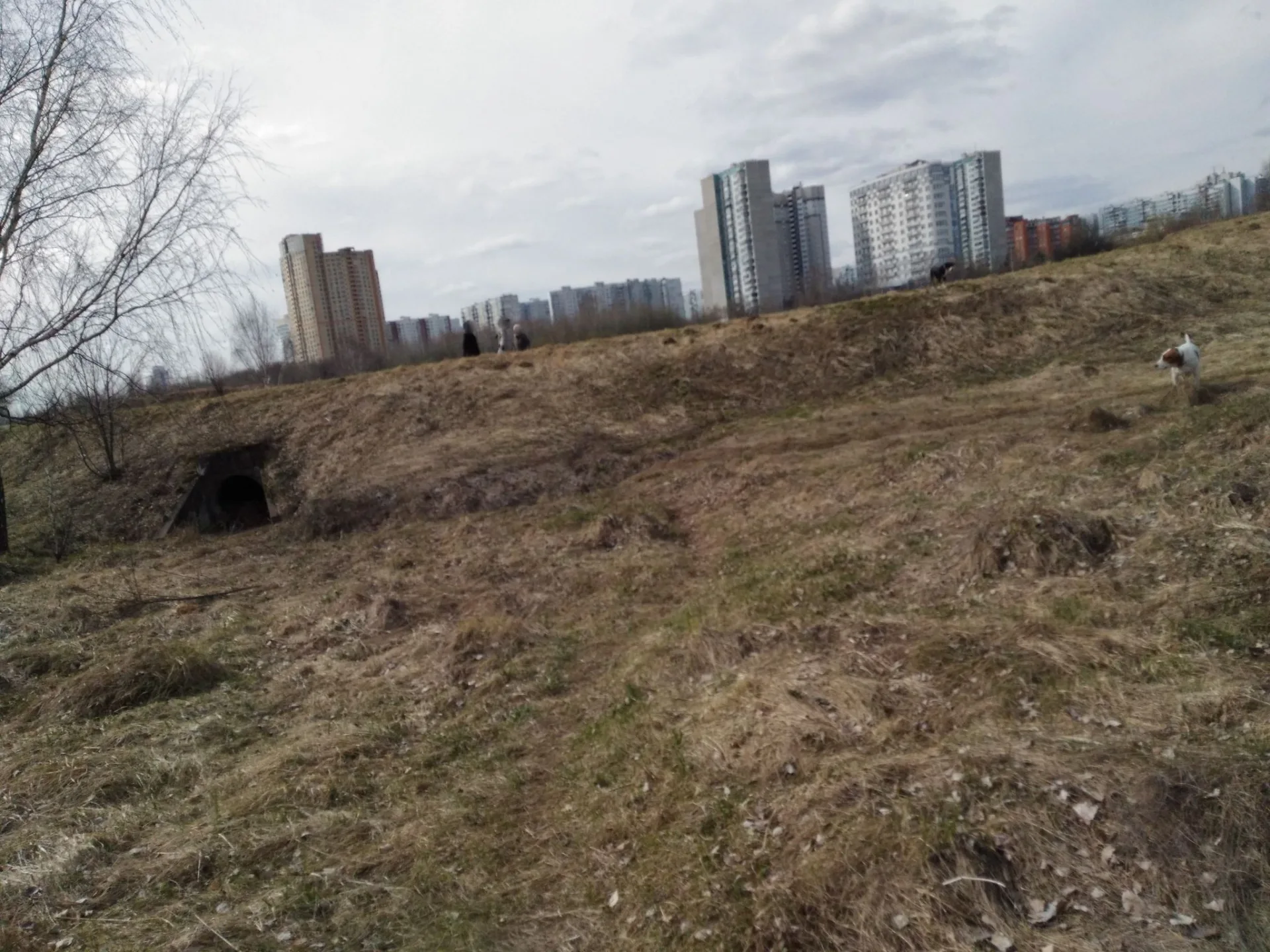 Маршрут «Крылатское», 3,4 км