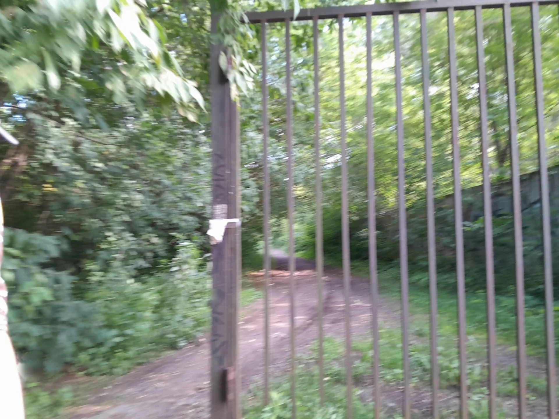 Маршрут «Крылатское», 10,0 км
