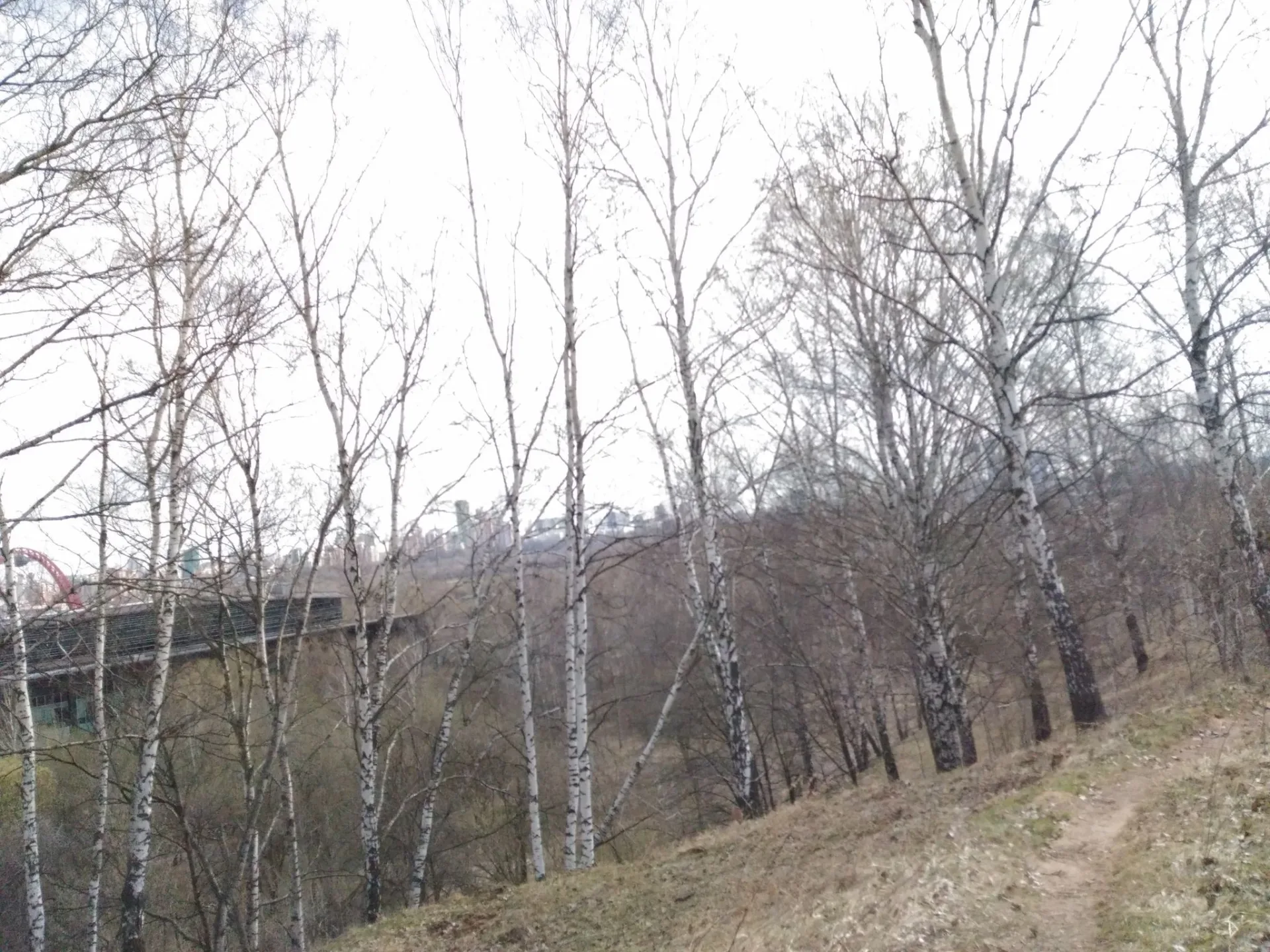 Маршрут «Крылатское», 37,7 км