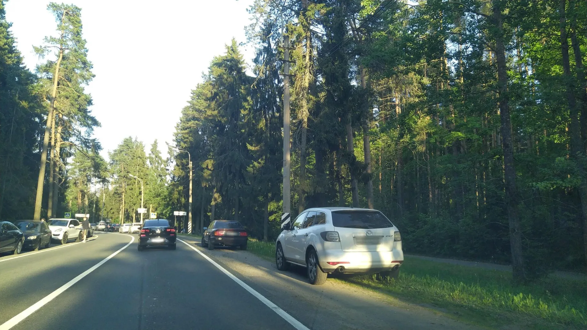 Маршрут «Кудрово — Выборг», 56,5 км