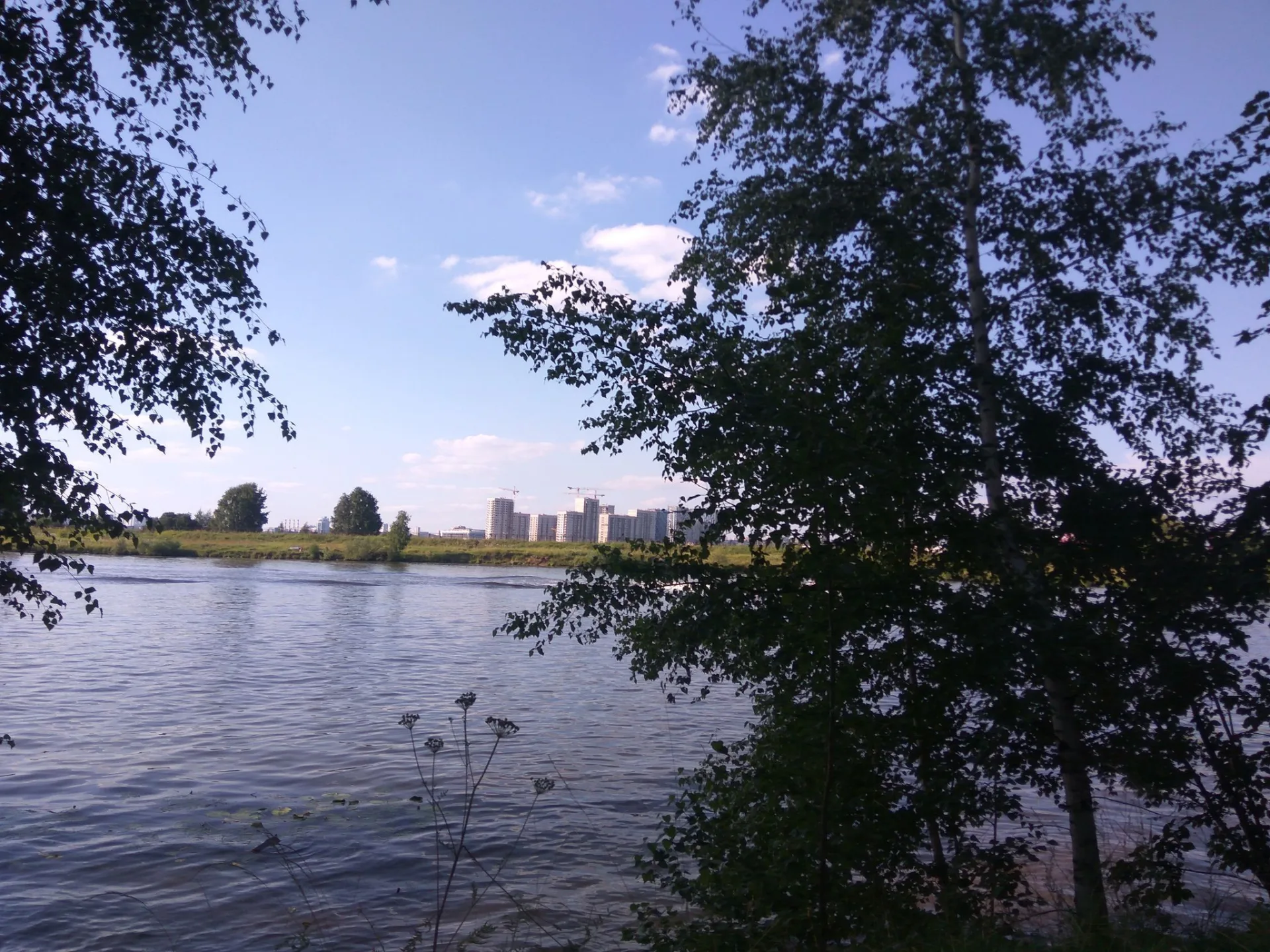Маршрут «Кунцево», 16,2 км