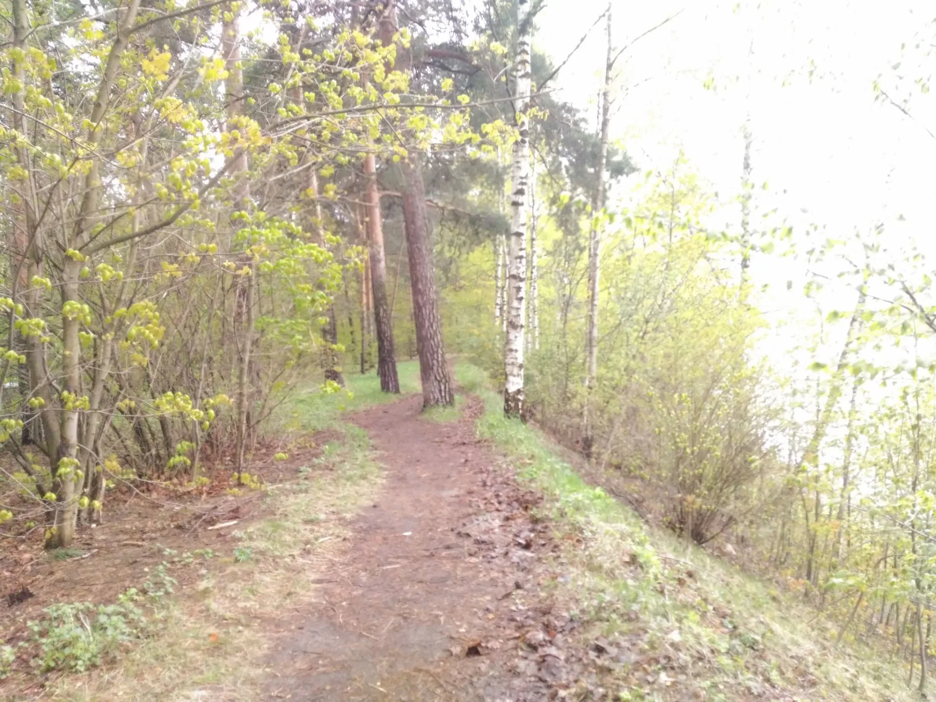 Маршрут «Кунцево», 20,2 км