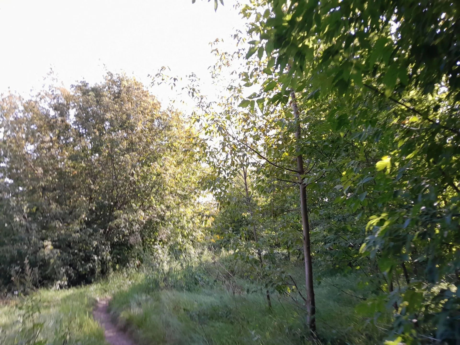 Маршрут «Кунцево», 25,2 км