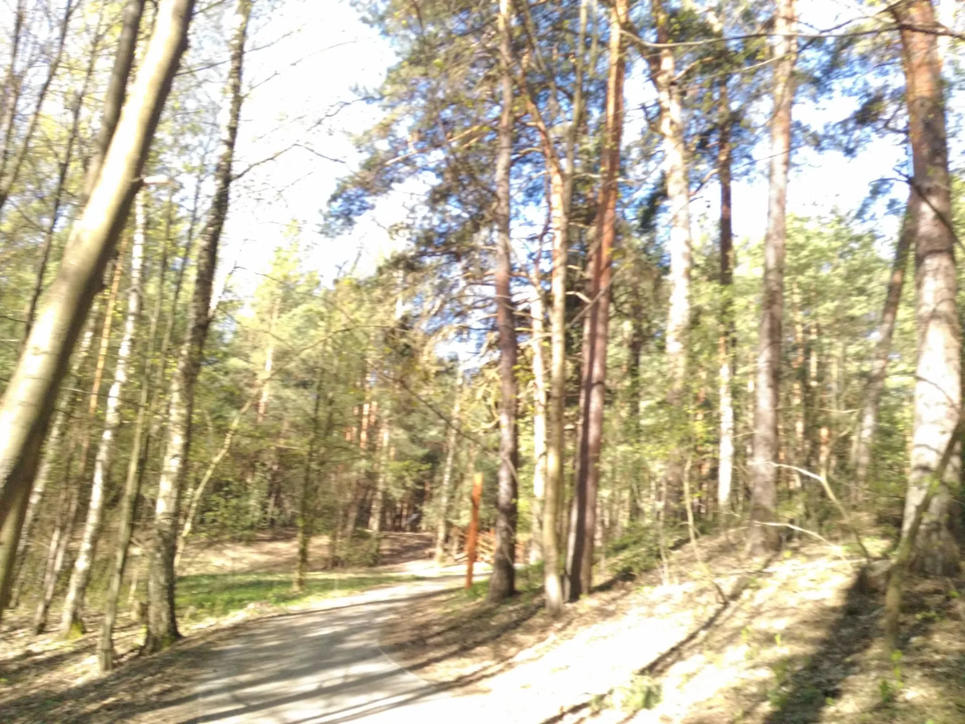 Маршрут «Кунцево», 12,3 км