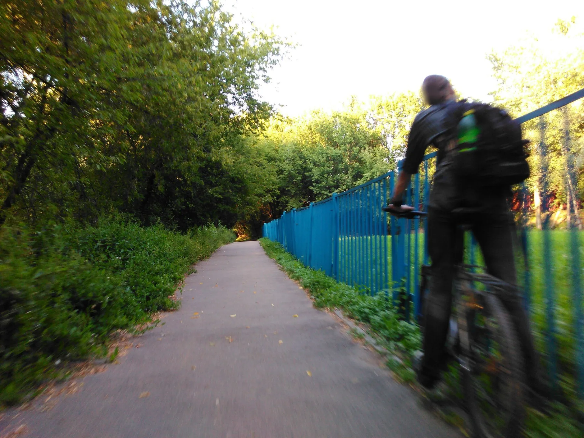 Маршрут «Кунцево», 12,3 км