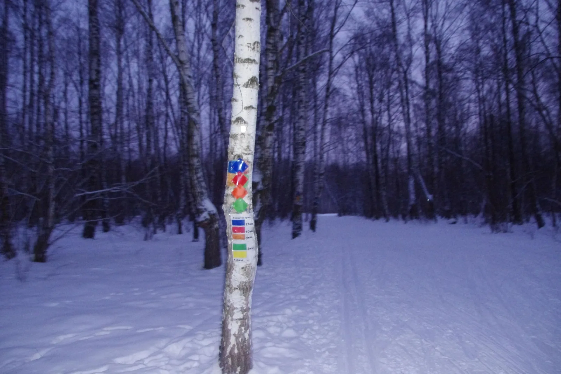 Маршрут «Кунцево», 6,2 км