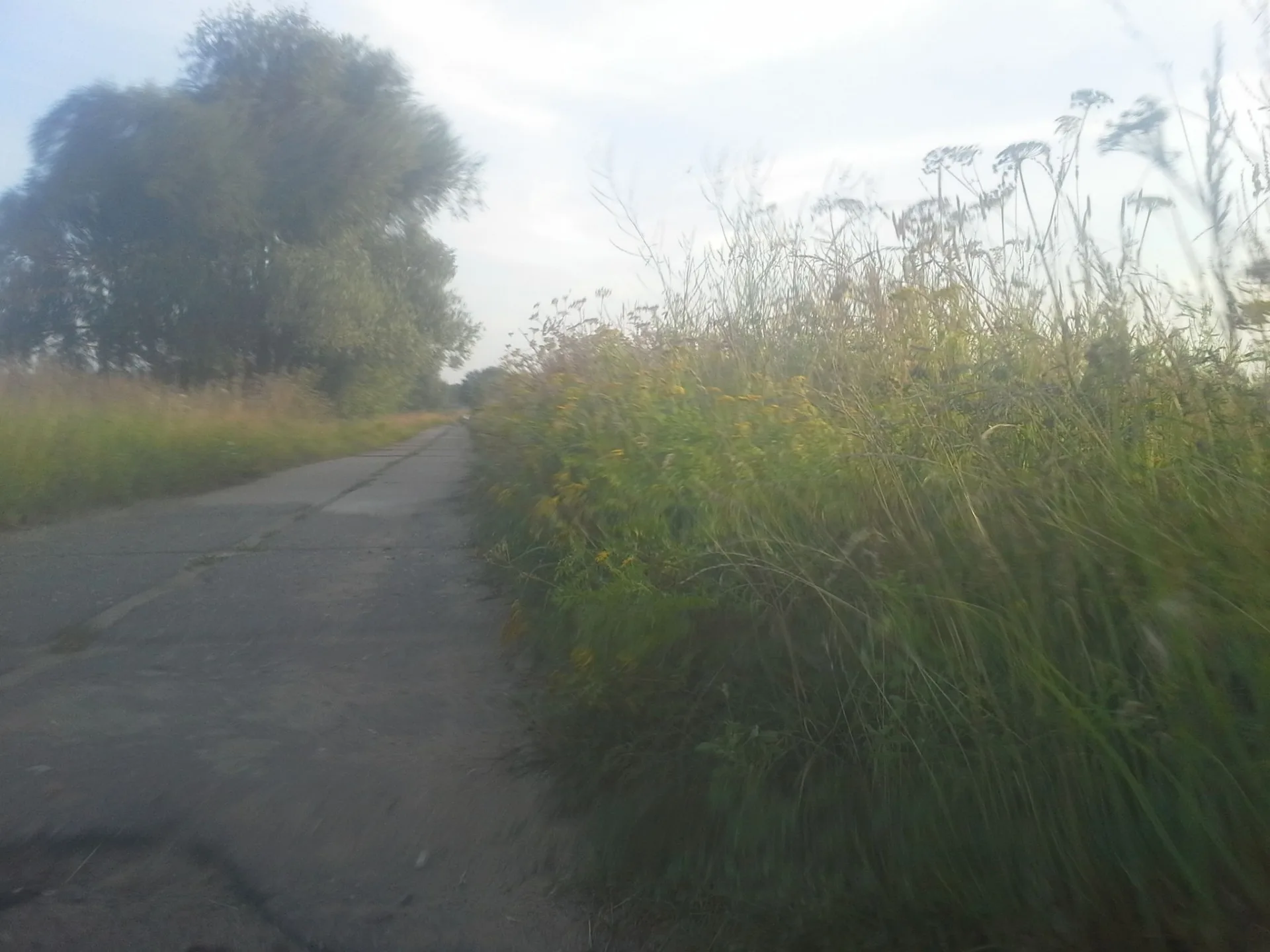 Маршрут «Кунцево»