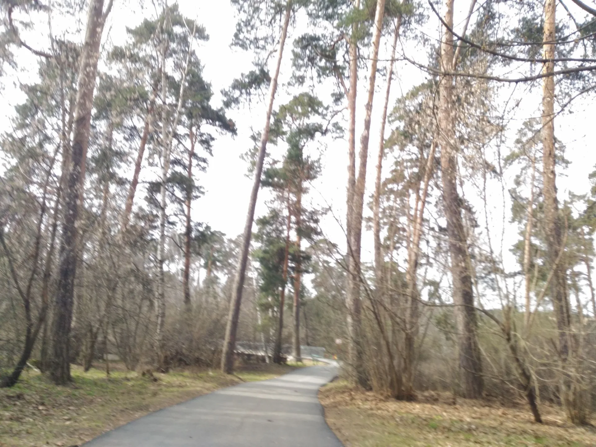 Маршрут «Кунцево», 15,1 км