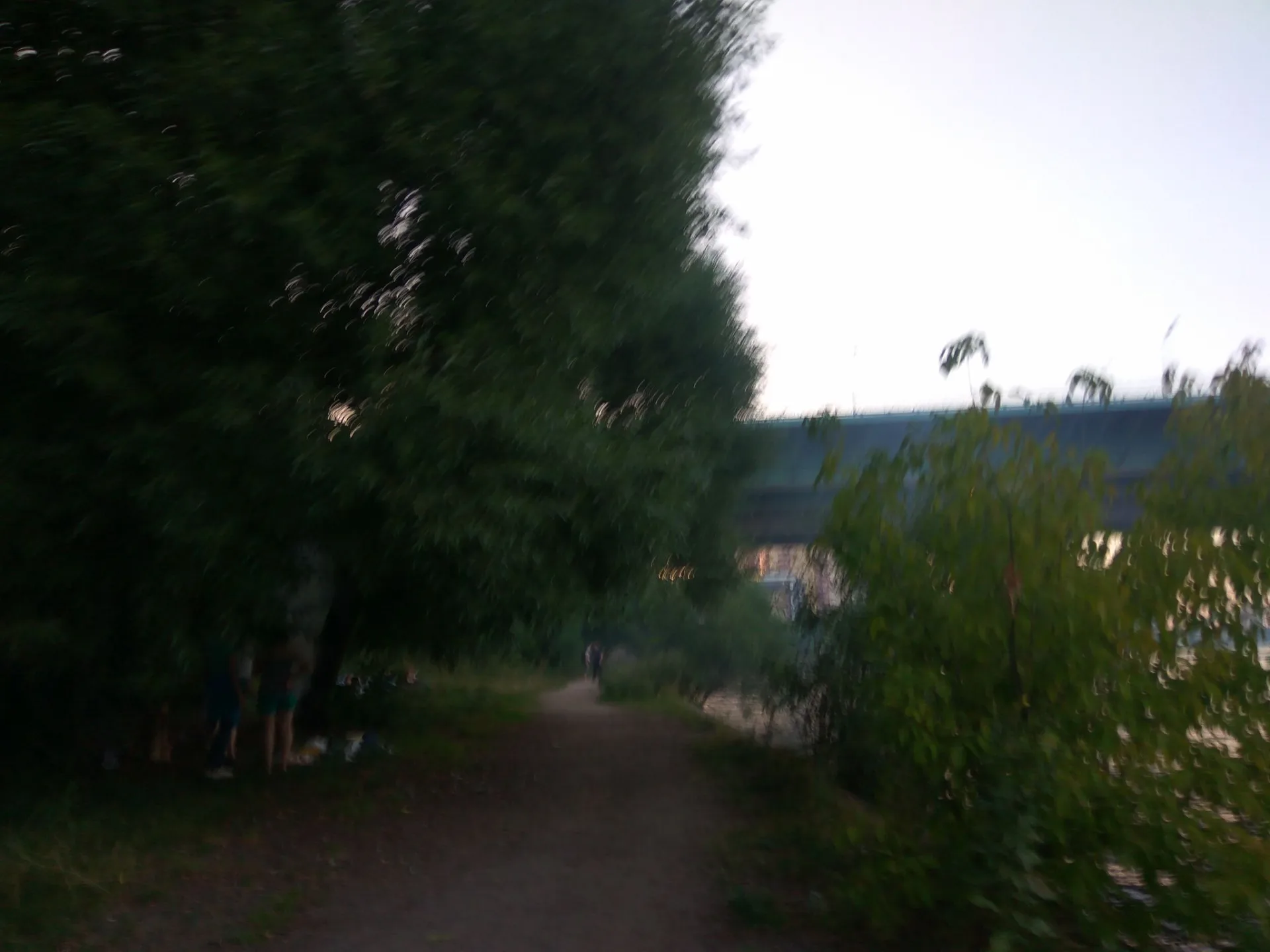 Маршрут «Куркино — Куркино», 13,6 км