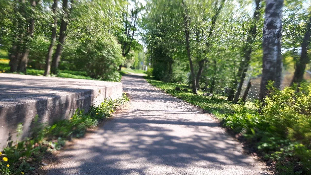 Маршрут «Курорт — Зеленогорск», 8,9 км