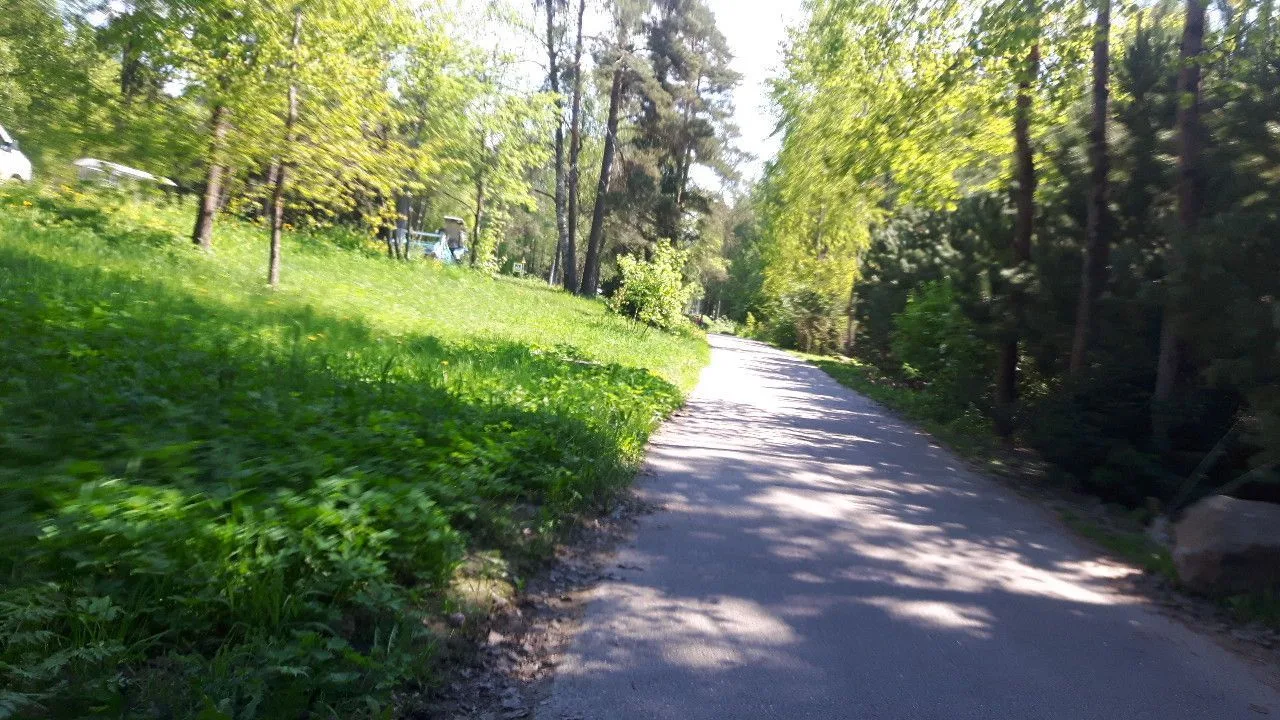 Маршрут «Курортный — Репино», 0,8 км