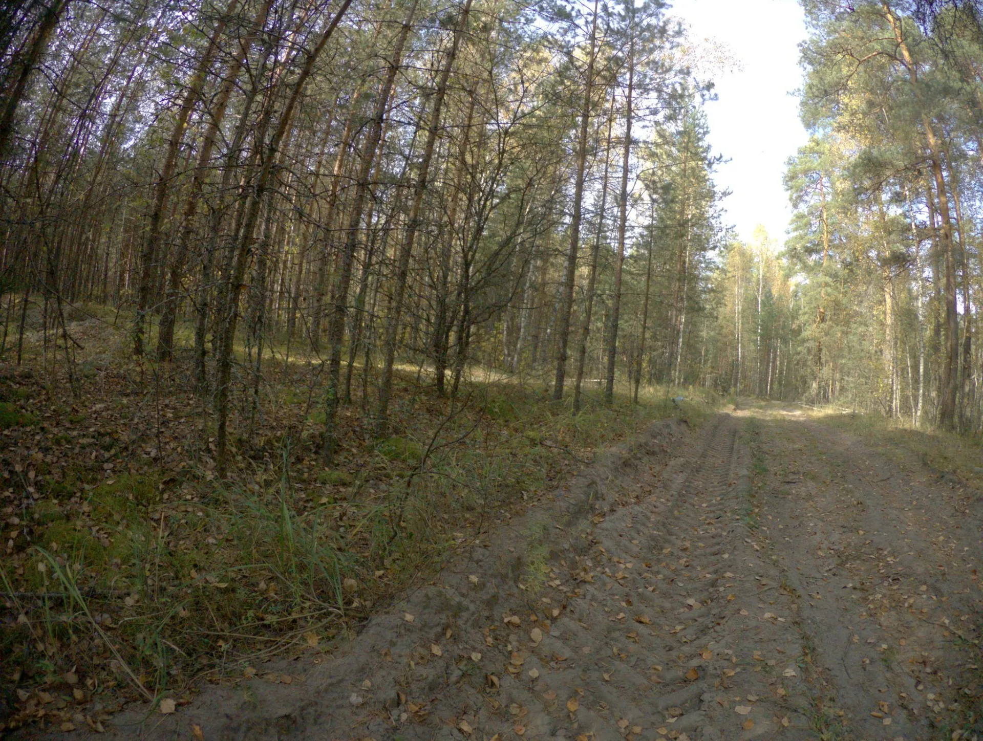 Маршрут «Лакинск — Черусти», 14,1 км