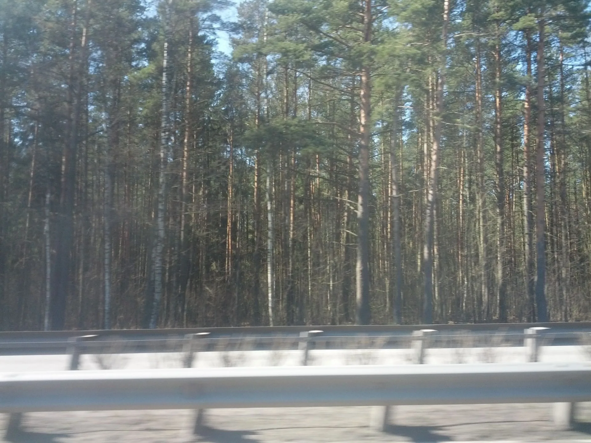 Маршрут «Лахта — Сестрорецк», 21,4 км