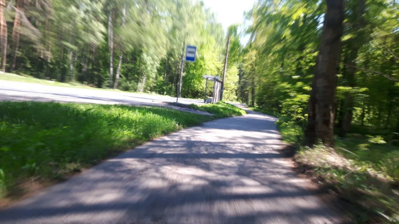 Маршрут «Лахтинский — Зеленогорск», 50,5 км