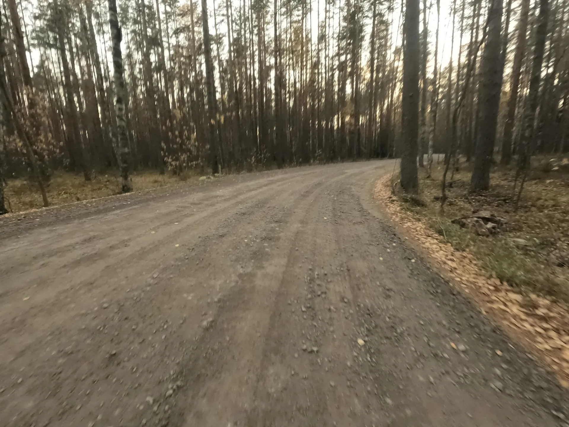 Маршрут «Лёгкая петля в Солнечном», 12,4 км