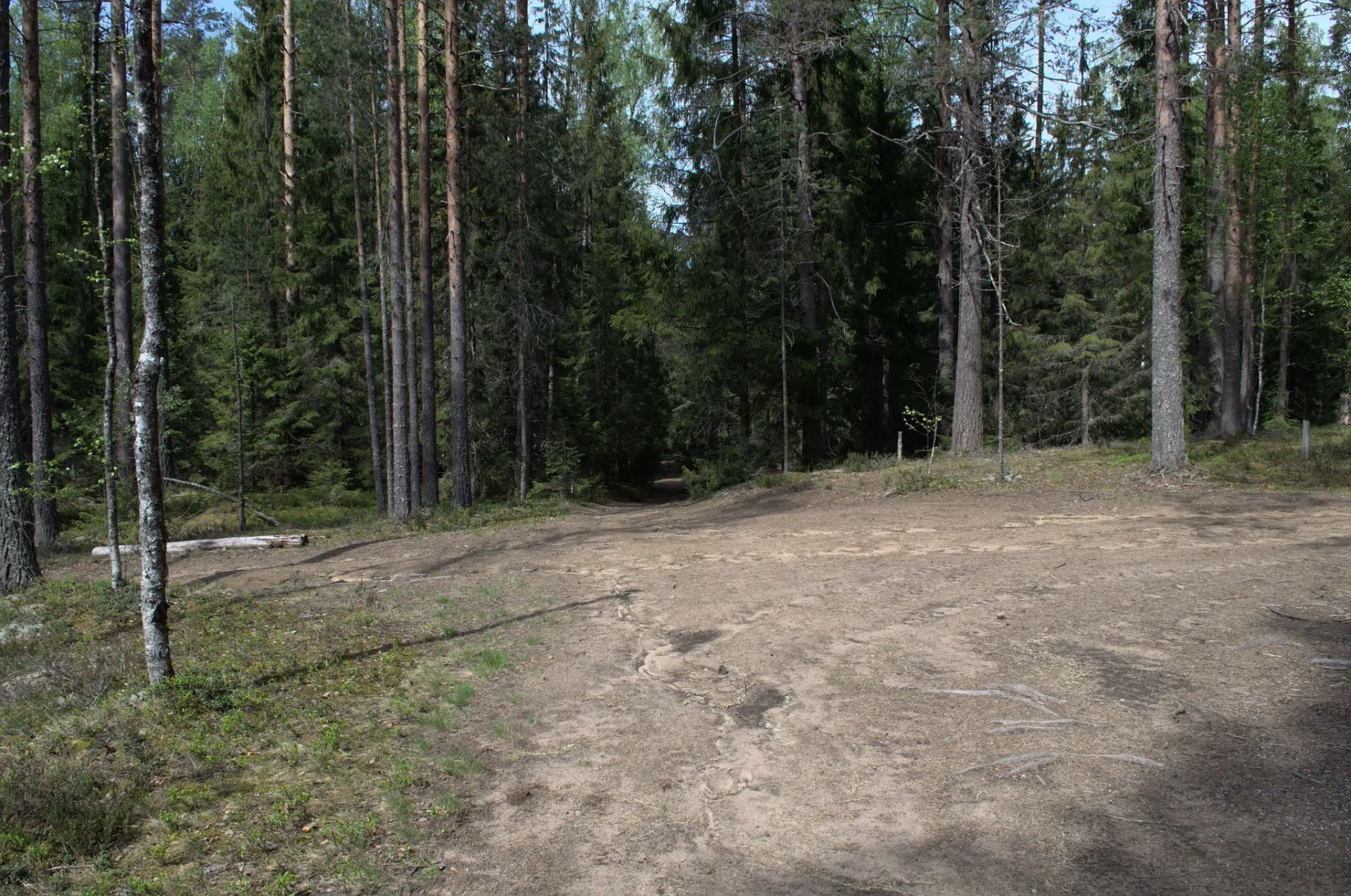 Маршрут «Лемболово — Орехово», 5,2 км