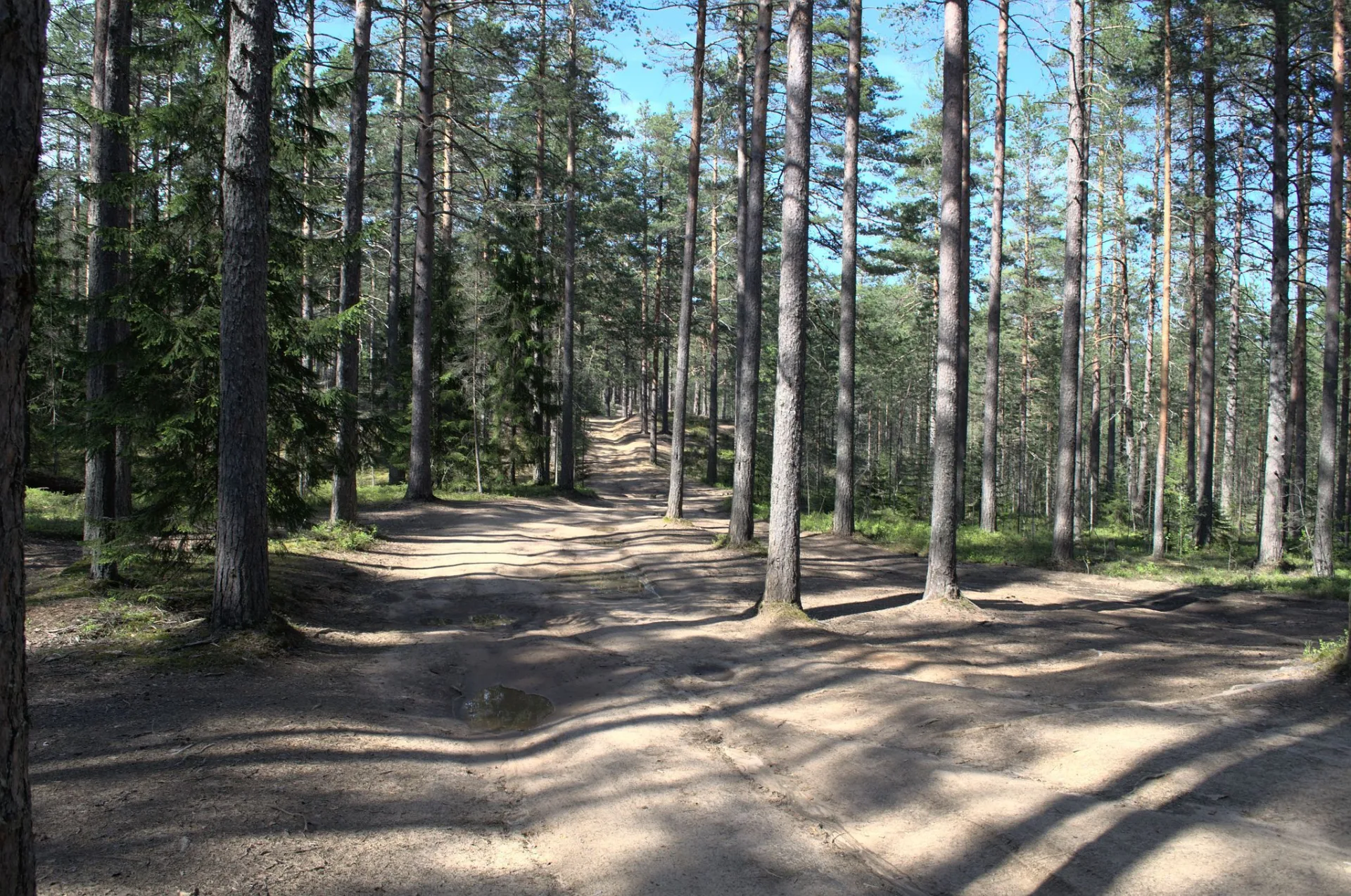 Маршрут «Лемболово — Орехово», 8,1 км
