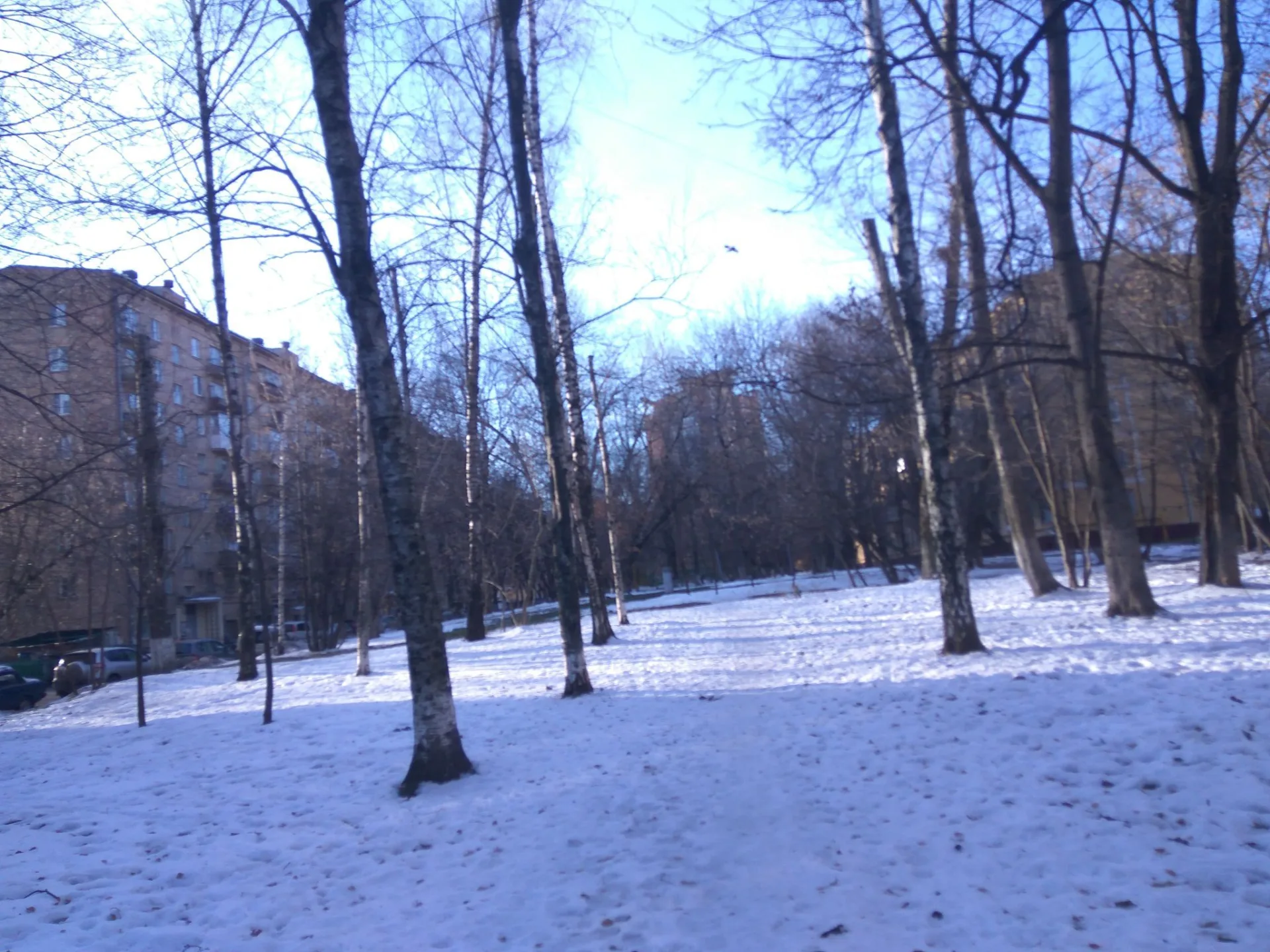 Маршрут «Ленинские горы — Троицкое», 0,1 км