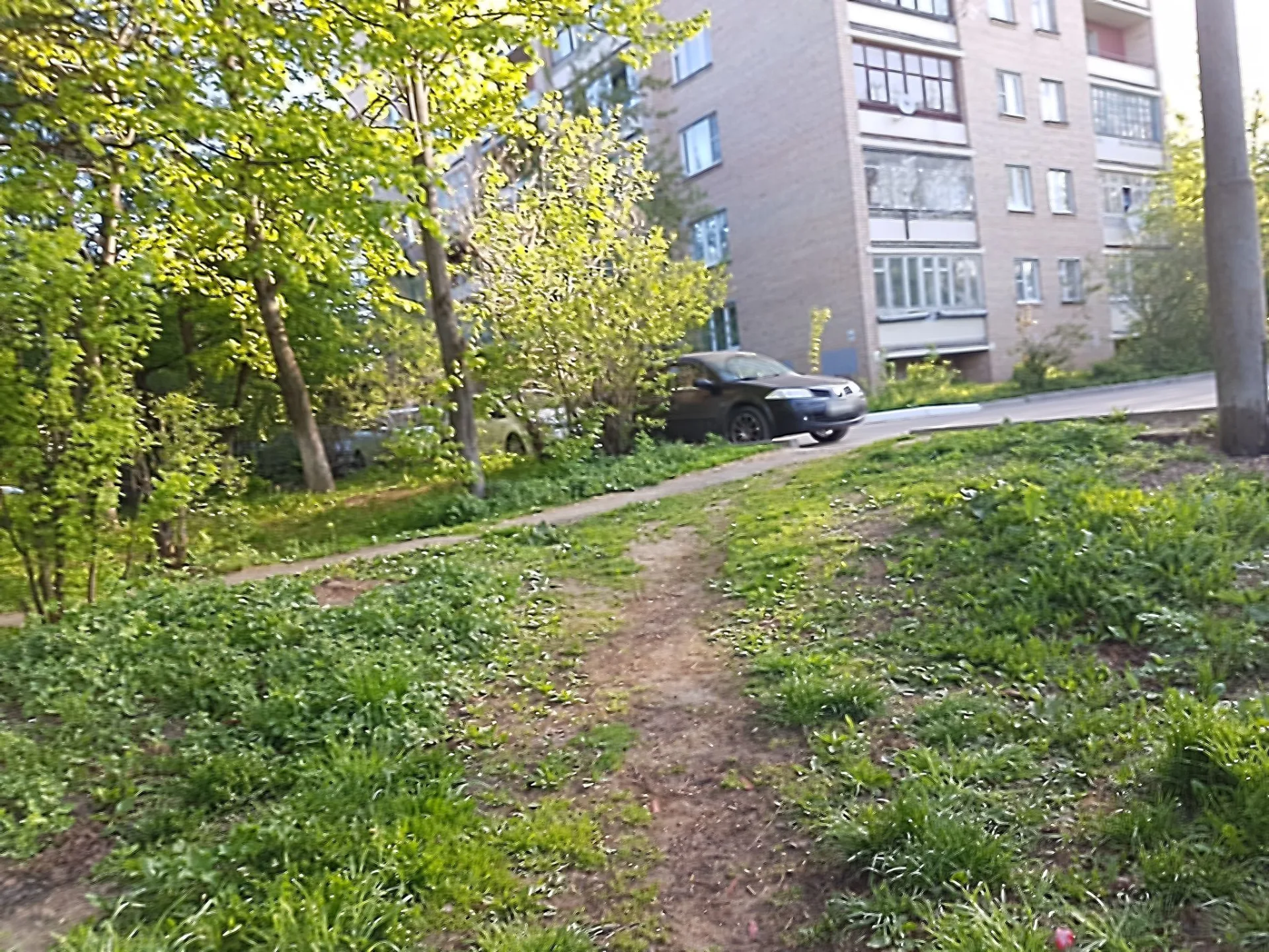 Маршрут «Лучинское», 14,1 км