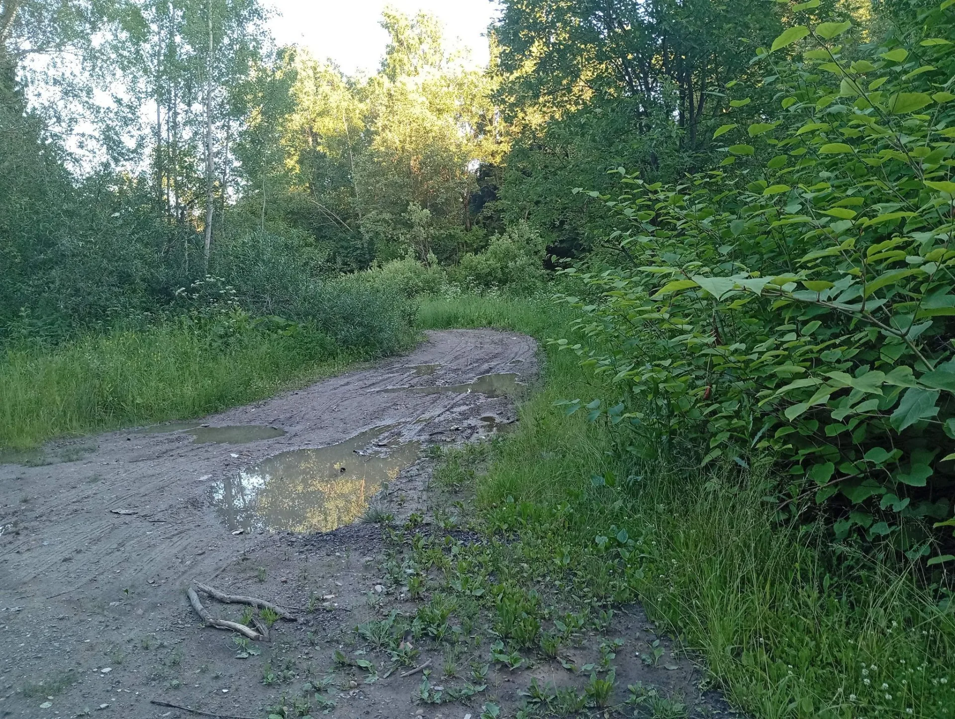 Маршрут «Лучинское», 28,1 км