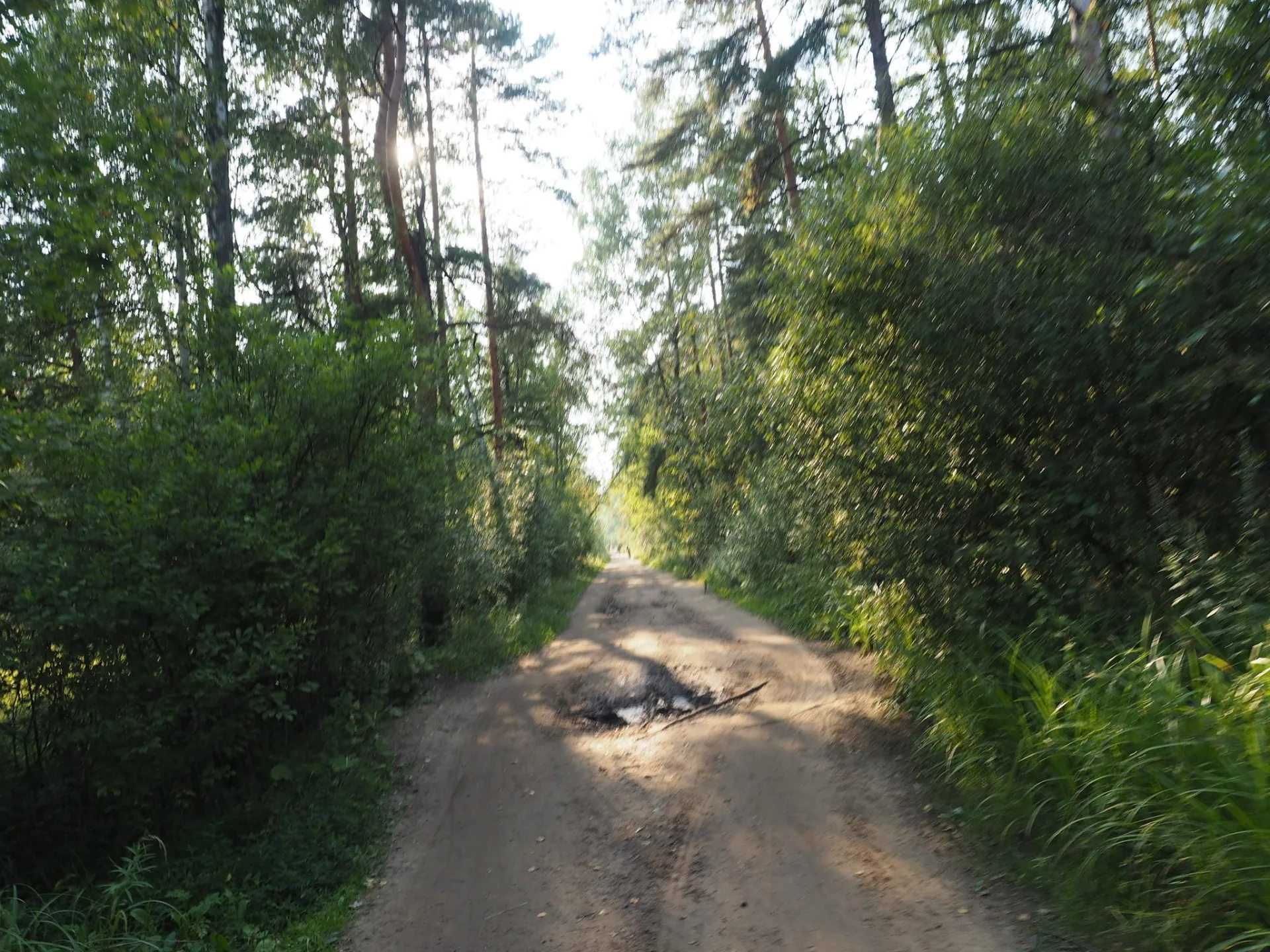 Маршрут «Лыткарино — Лыткарино», 2,5 км