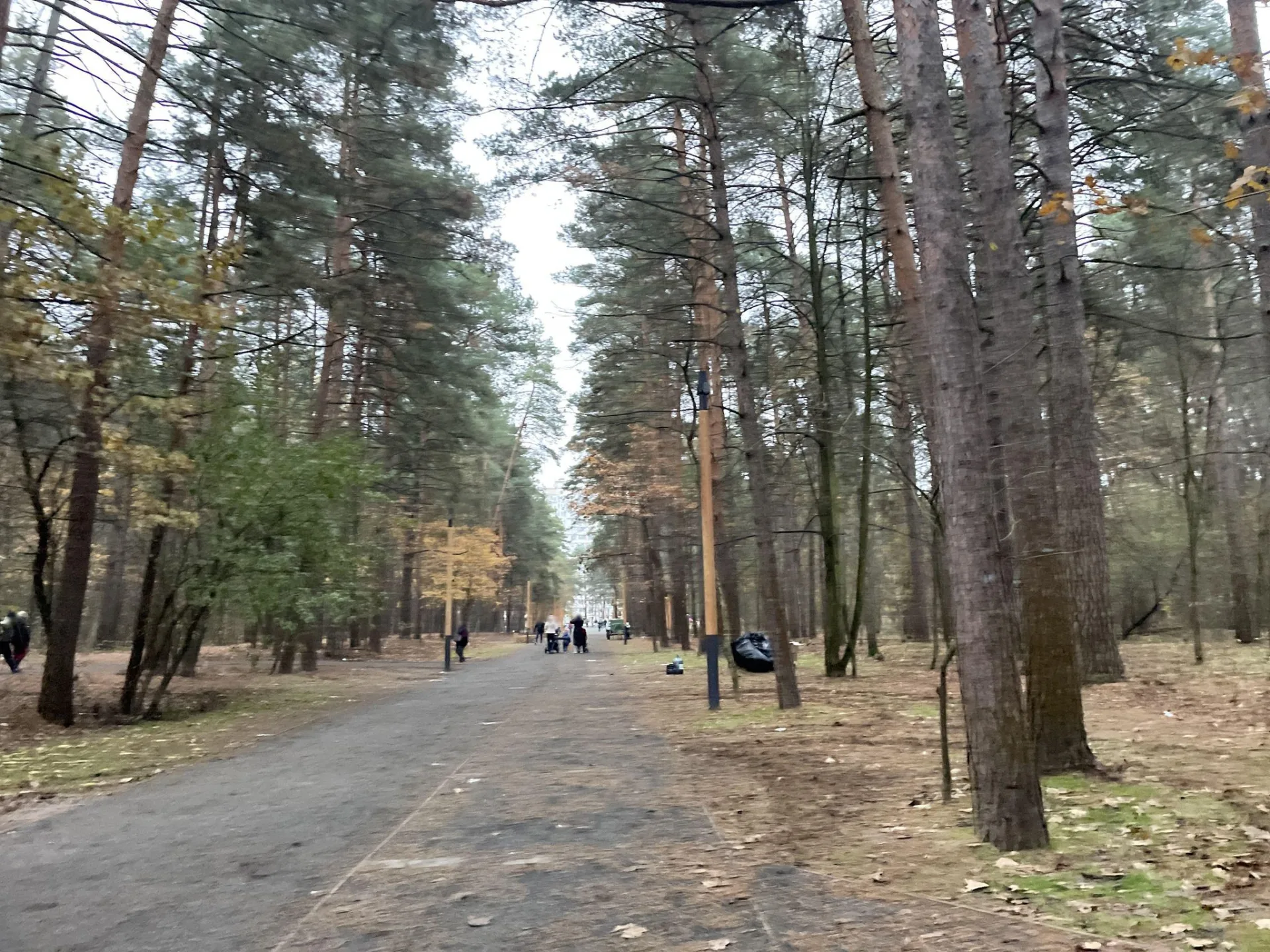 Маршрут «Лыткарино — Лыткарино», 4,4 км