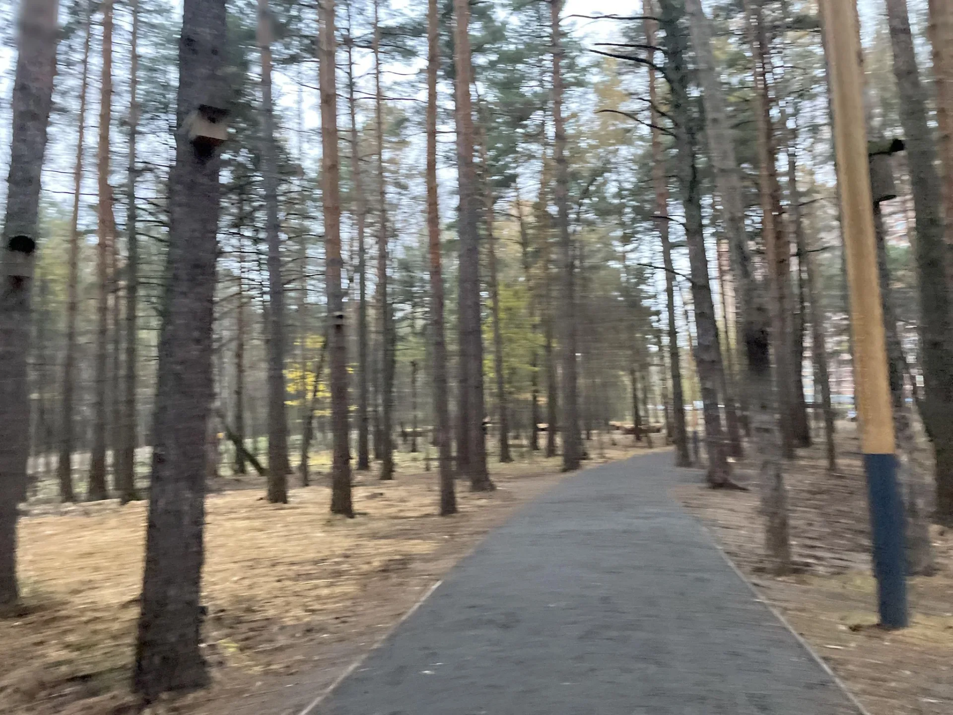 Маршрут «Лыткарино — Лыткарино», 45,9 км