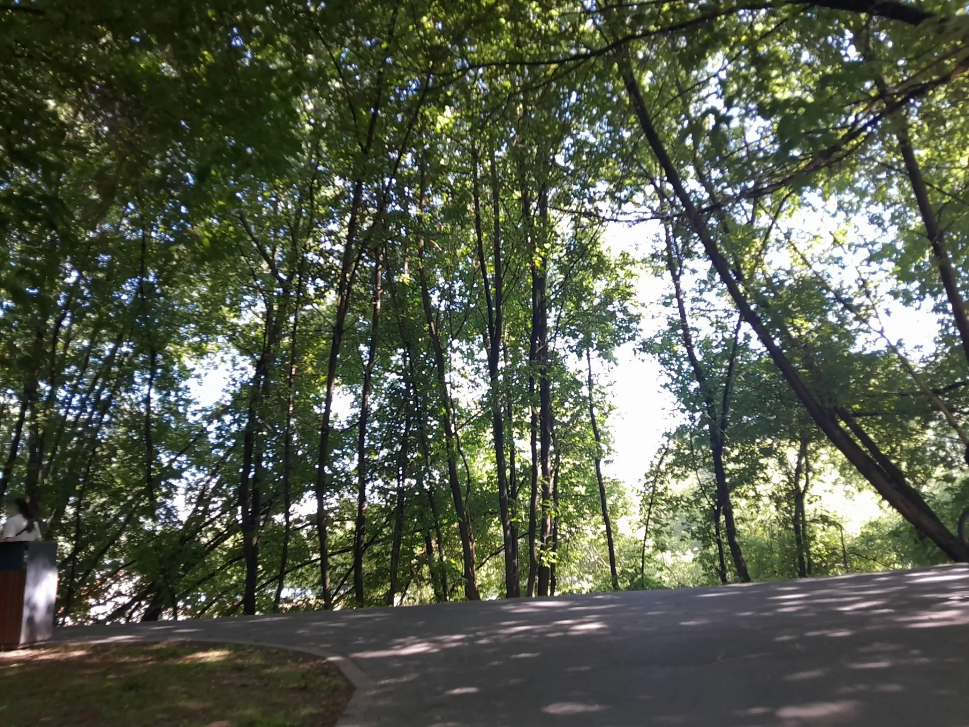 Маршрут «Медведково — Тайнинское», 1,5 км