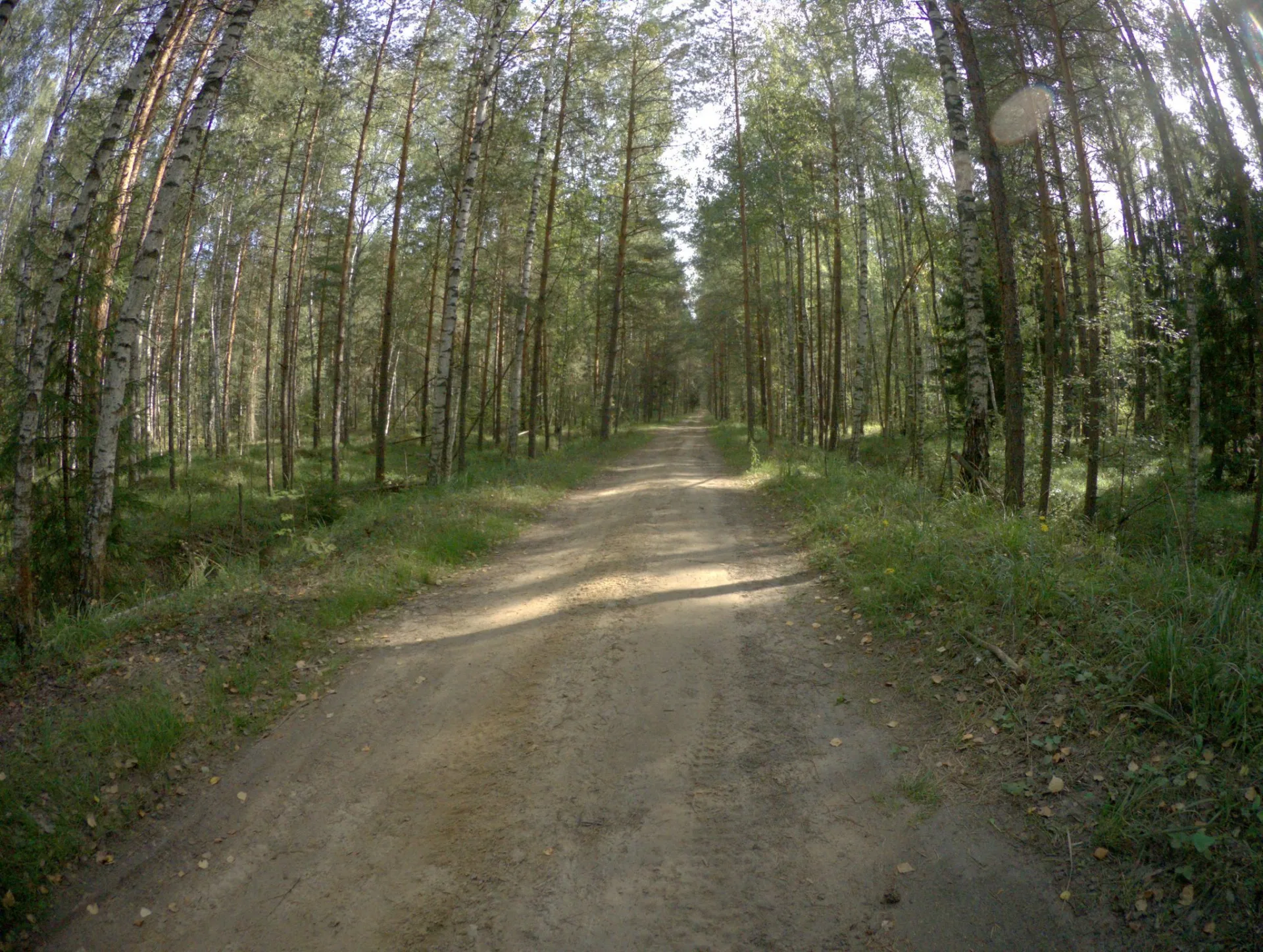 Маршрут «Мещера», 11,3 км