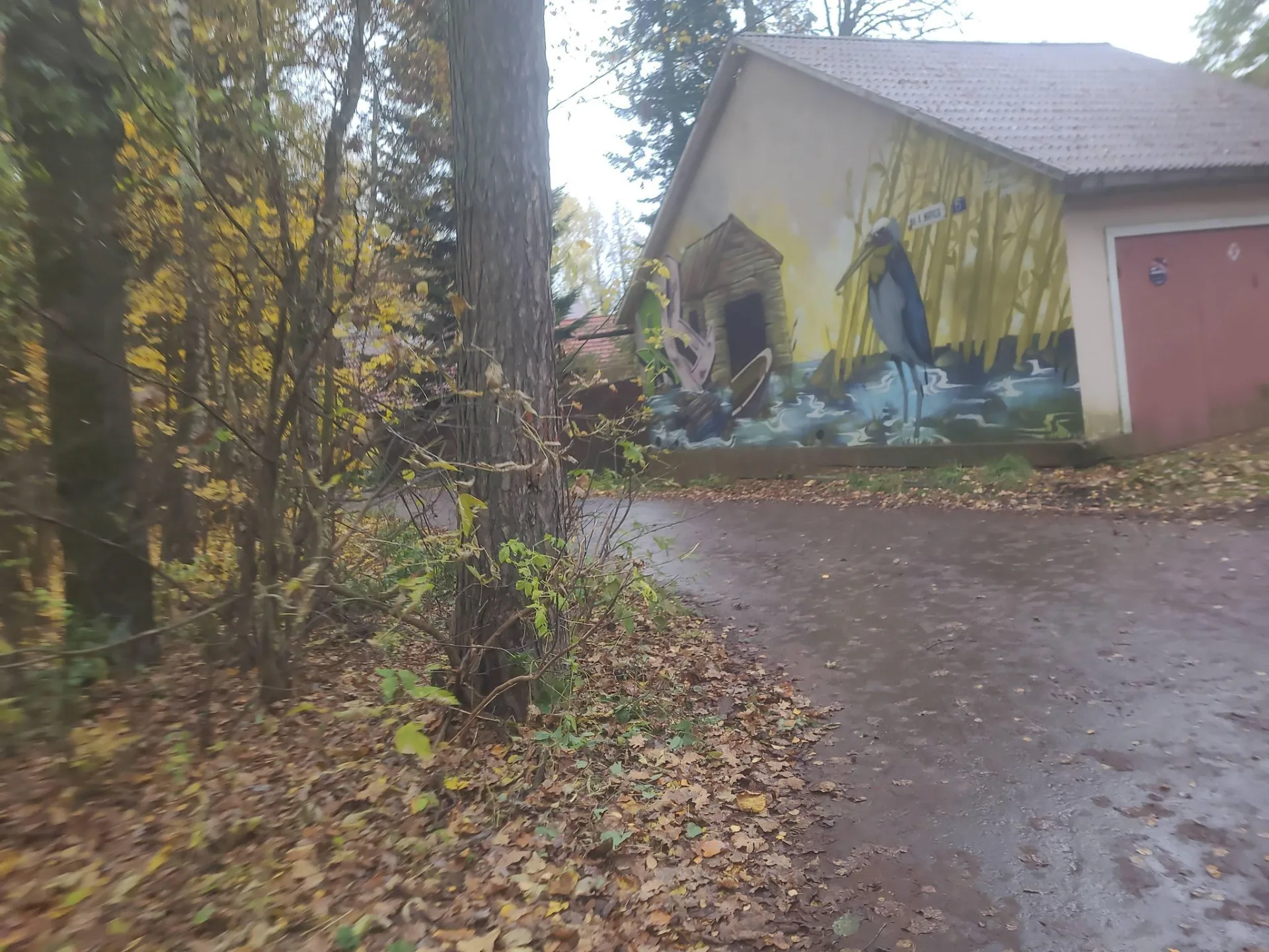Фото по маршруту «Мещерский лес — Можайское шоссе»
