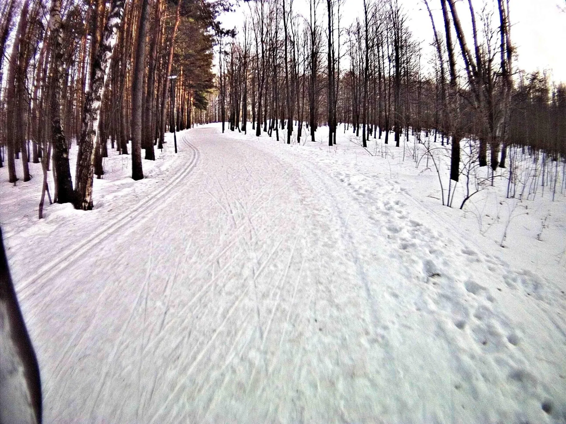Маршрут «Мещерский парк», 6,3 км