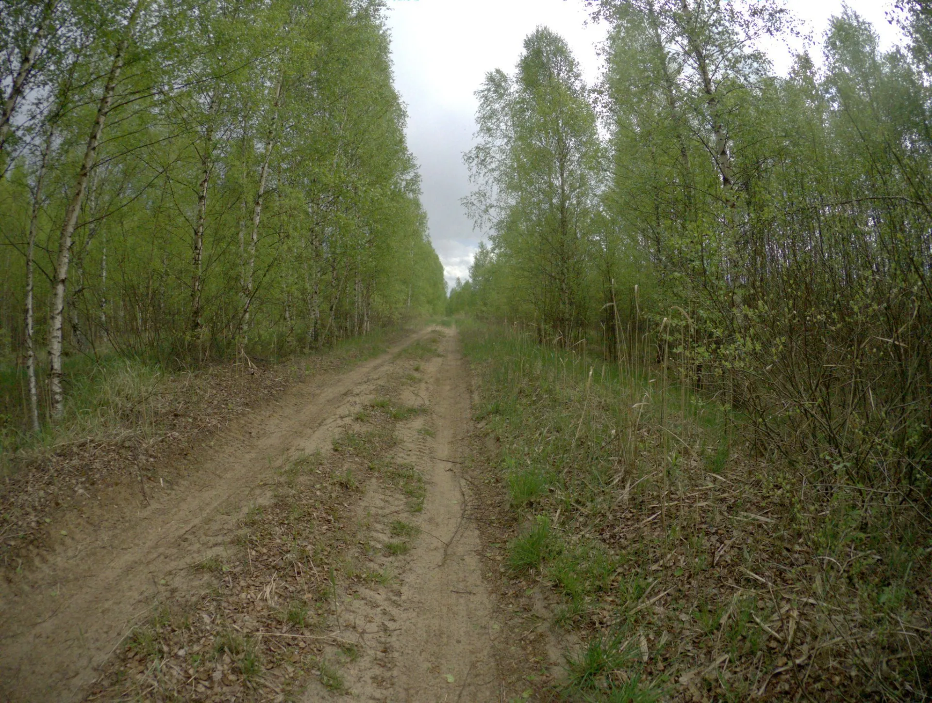 Маршрут «Мирхово — Черусти», 59,6 км