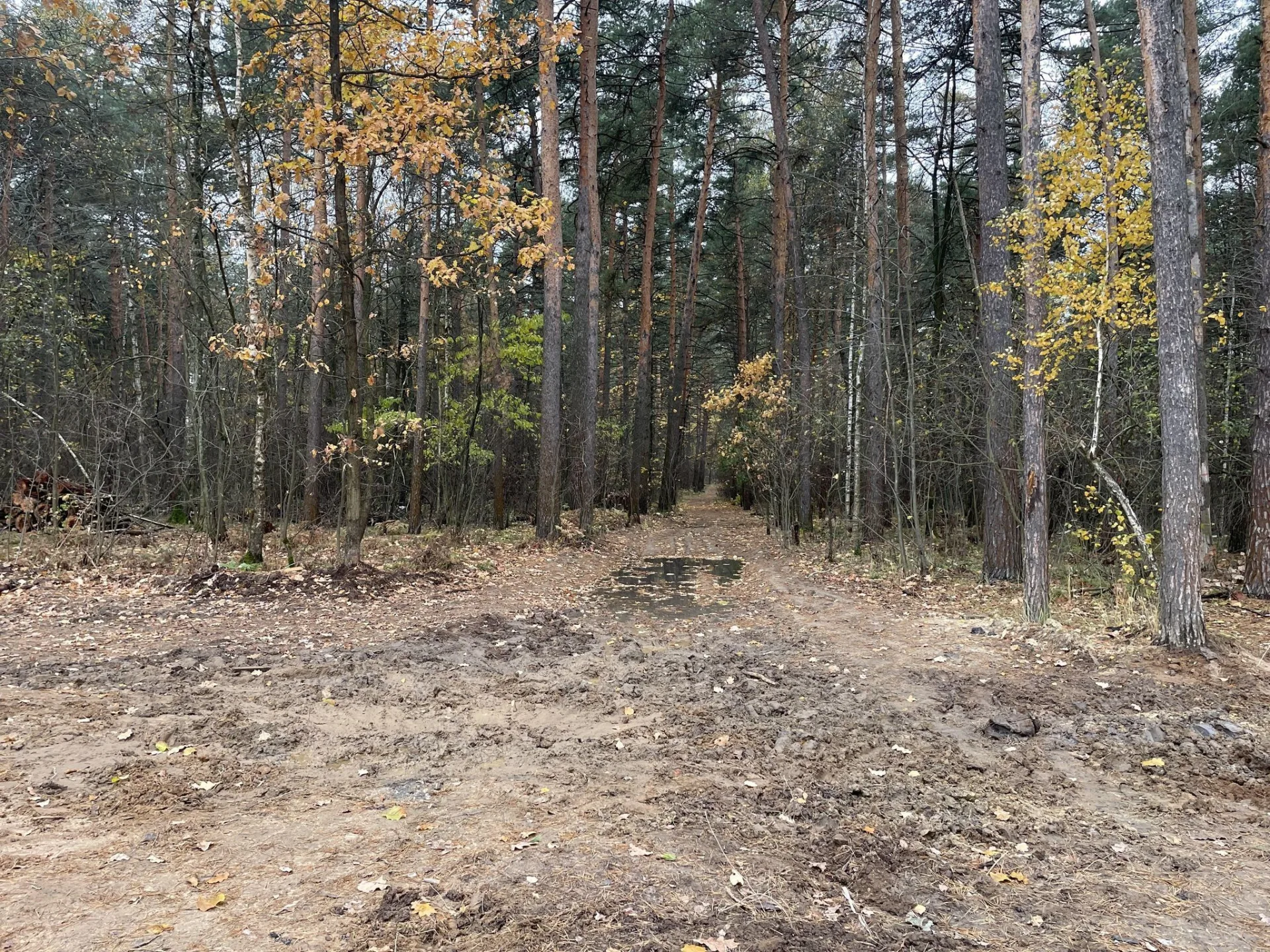 Маршрут «Михнево», 18,2 км