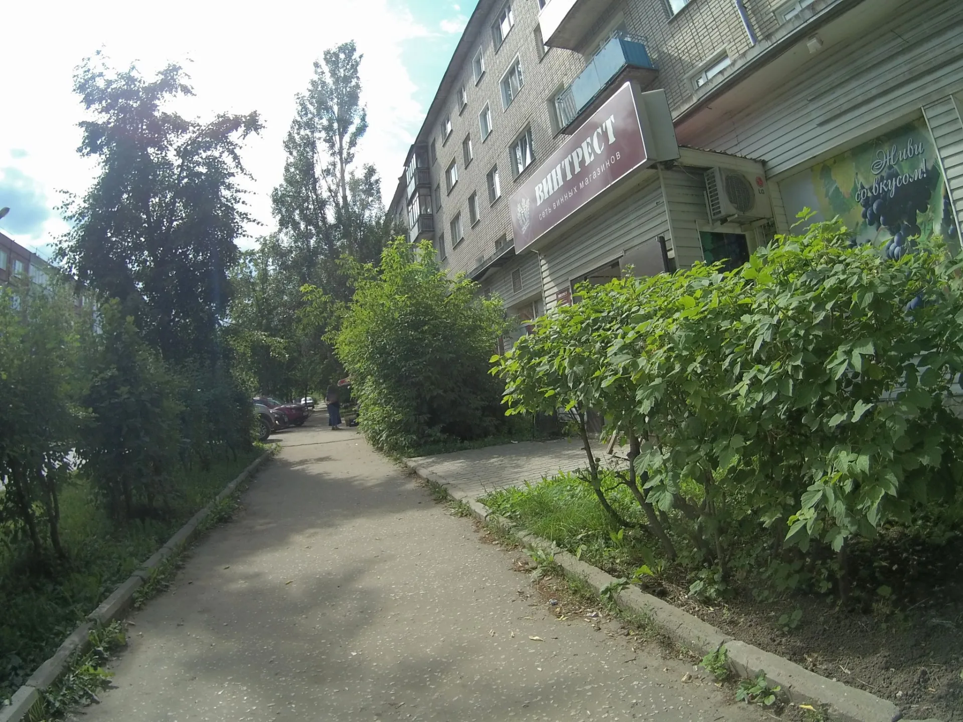 Маршрут «Мосино — Содышка», 1,3 км