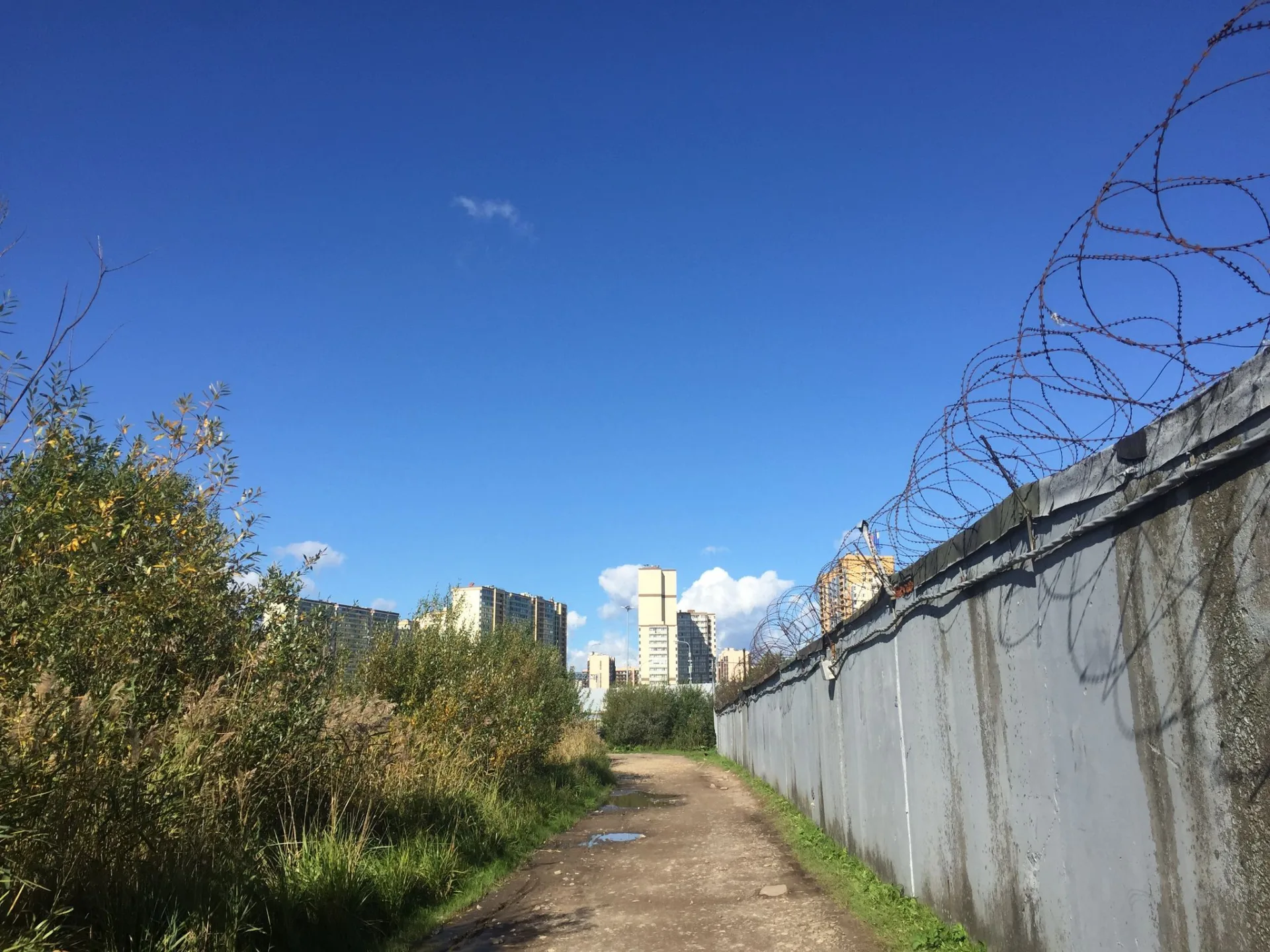 Маршрут «Мурино — Купчино», 64,8 км