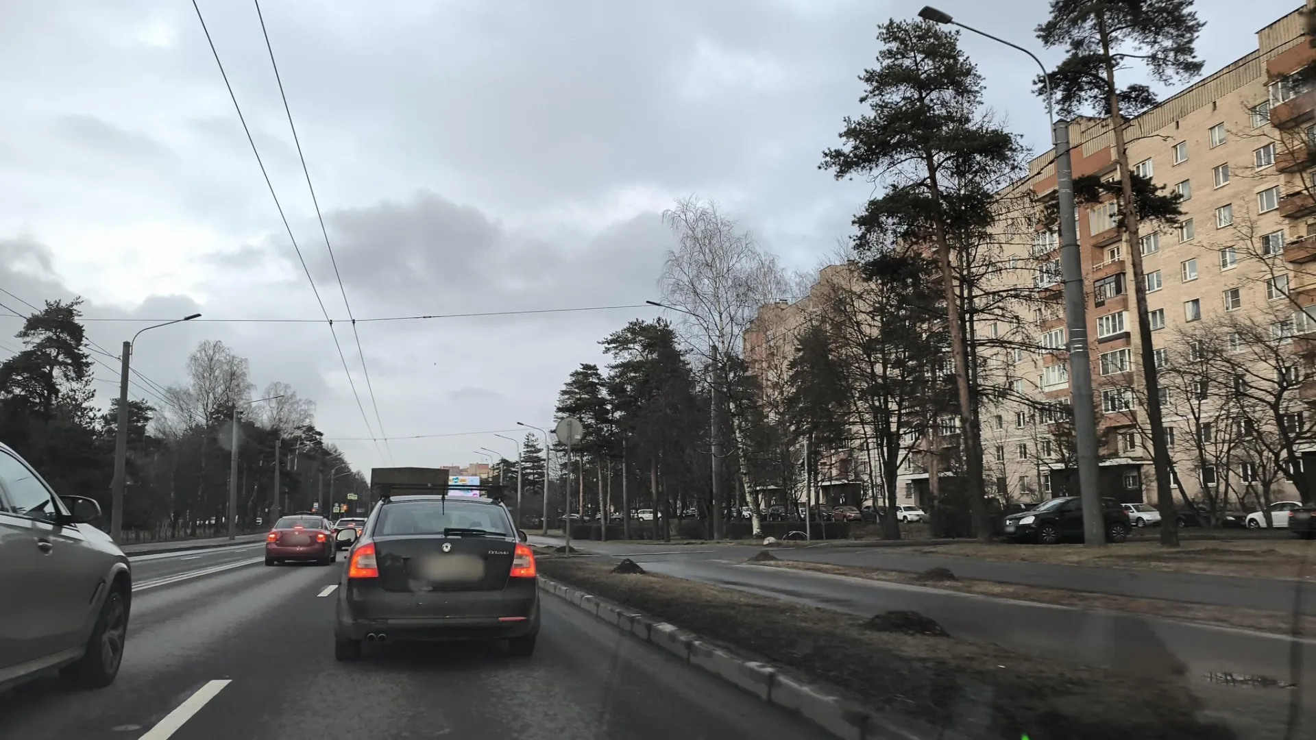 Маршрут «Мурино — Кушелевка», 12,8 км