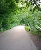 Маршрут «Никольский — Сокол», 9,8 км