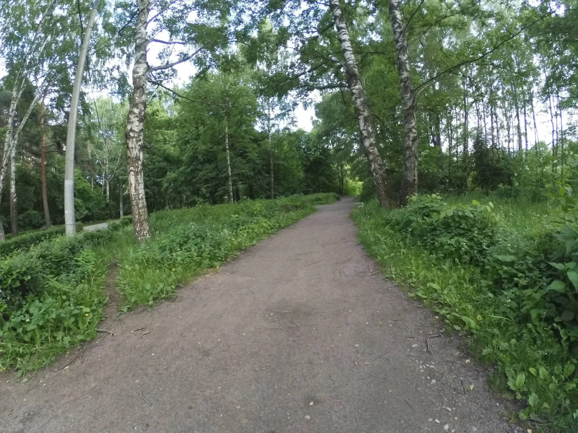 Маршрут «Никольский — Сокол», 10,8 км