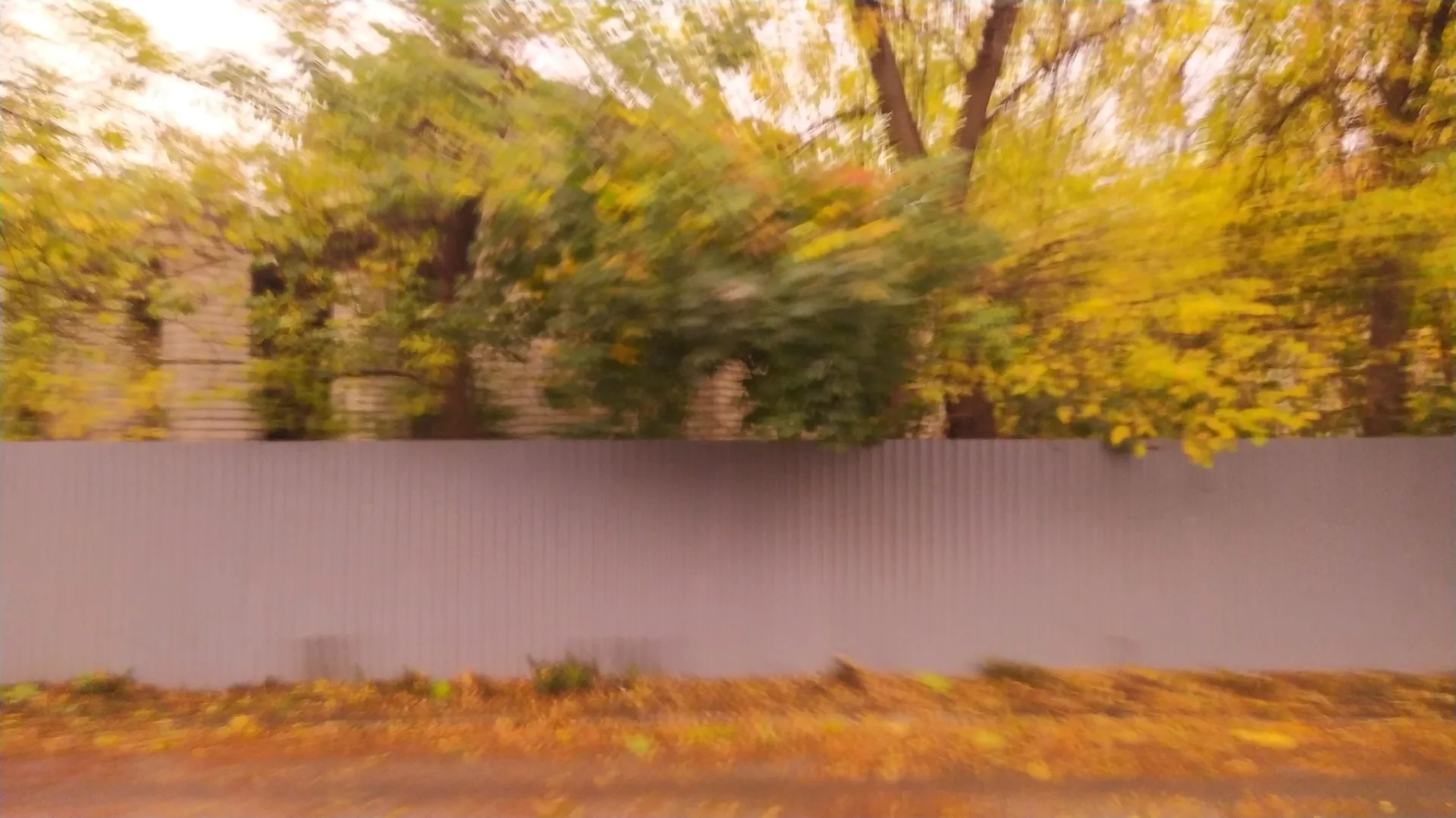 Маршрут «Ночь в Твери», 9,1 км