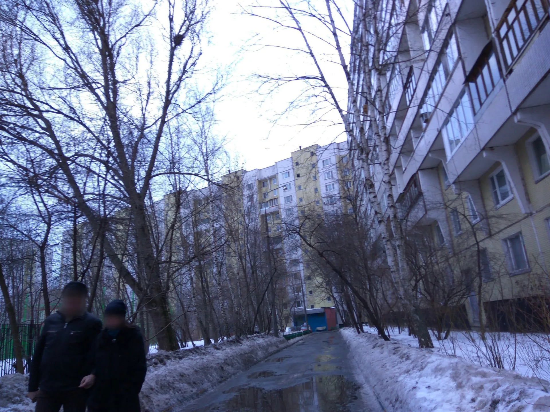 Маршрут «Новое Село — Аннино»