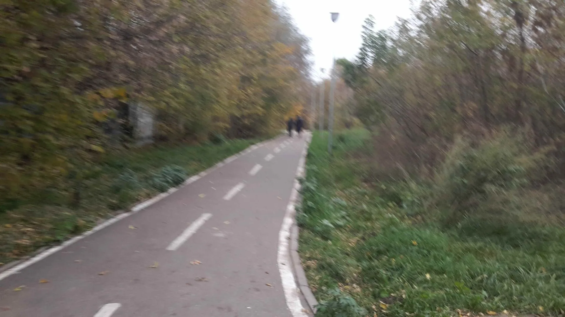 Маршрут «Нововладыкино — Братеевский мост», 56,4 км