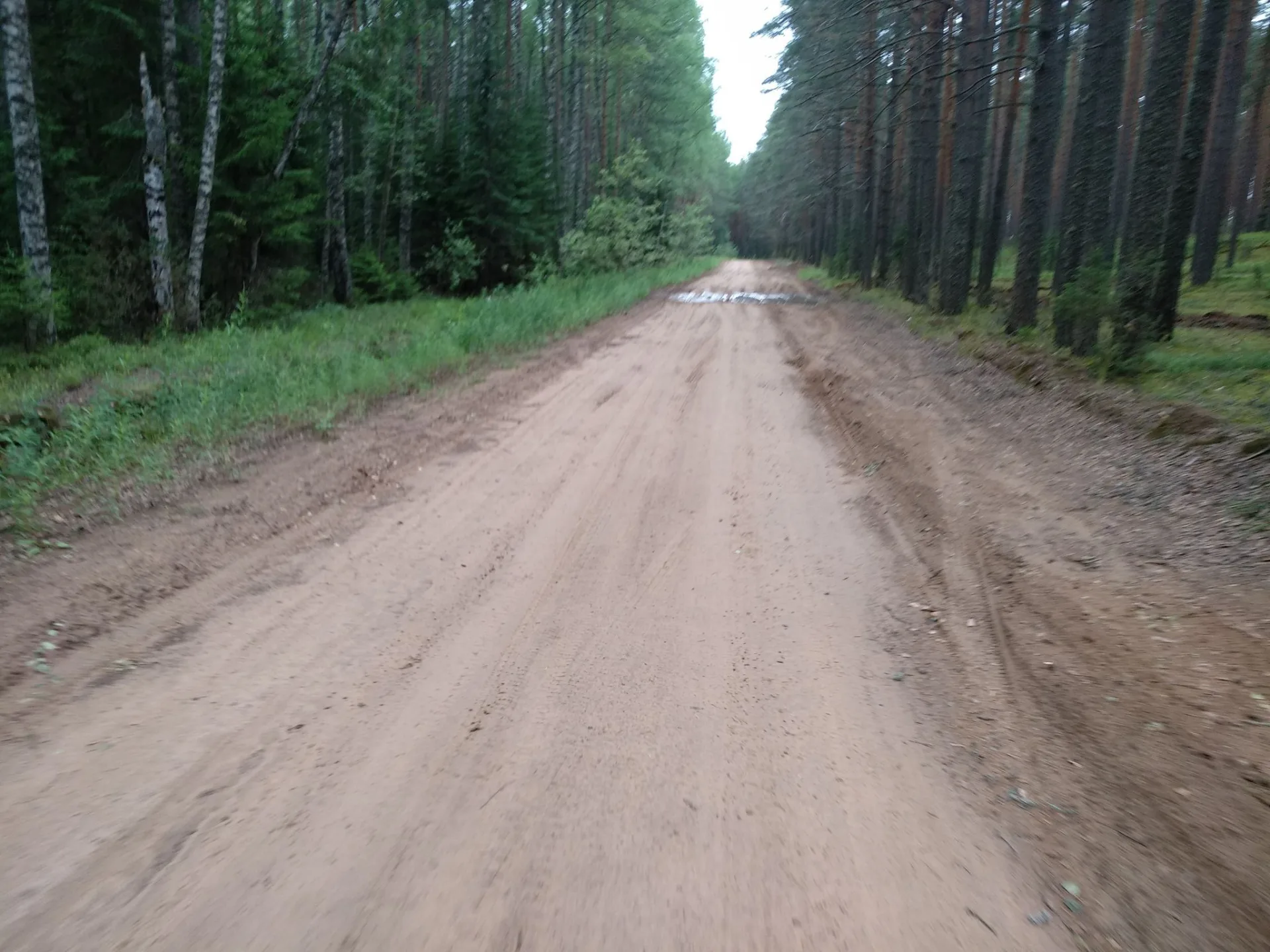 Маршрут «Осеченка — Кресилово», 37,1 км