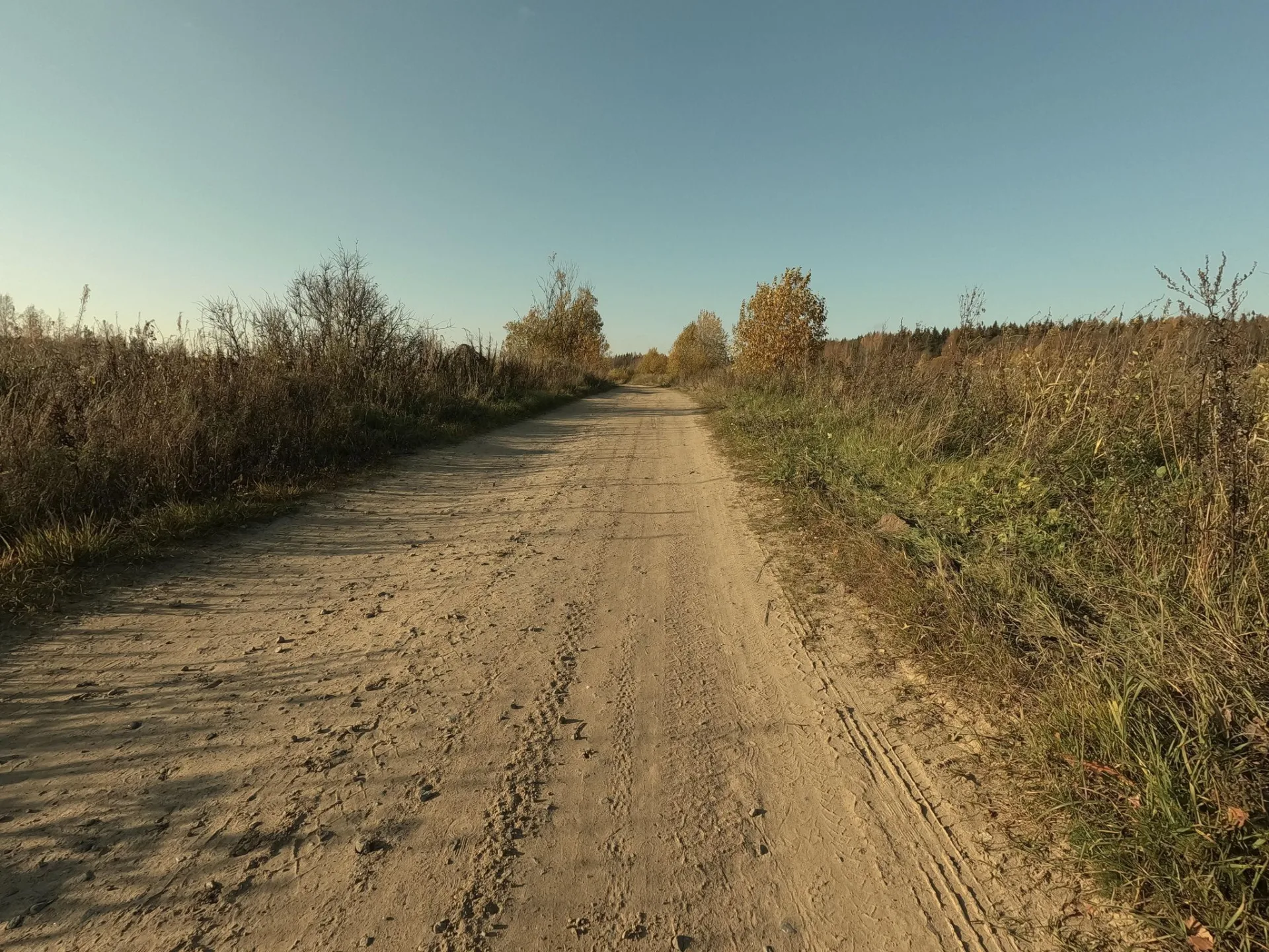 Маршрут «Осельки — Тарховка», 34,1 км