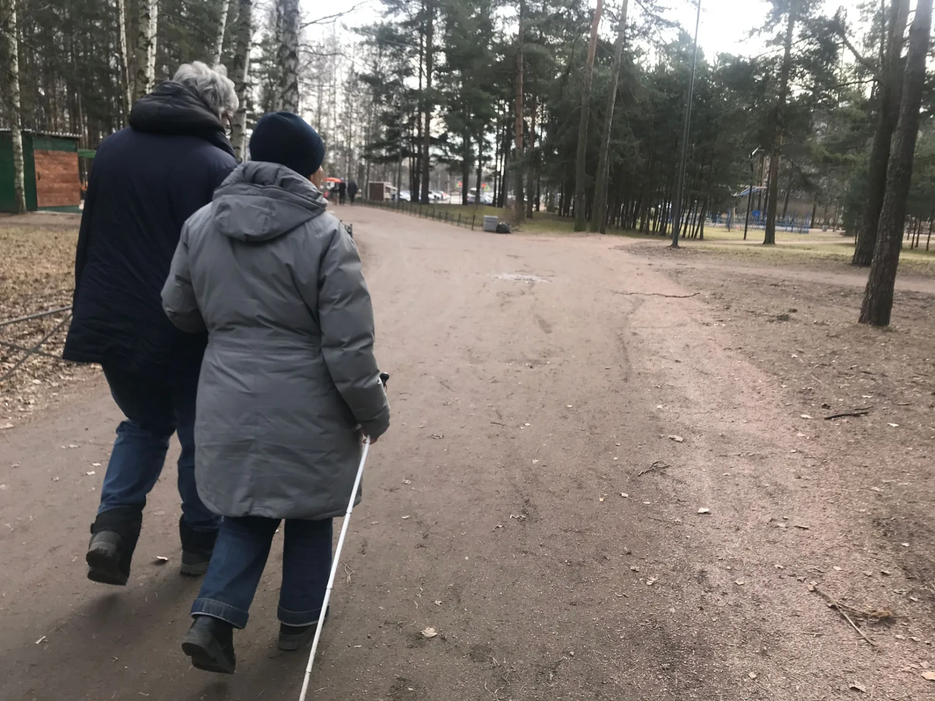 Маршрут «От Кушелевки до Сосновки», 3,1 км