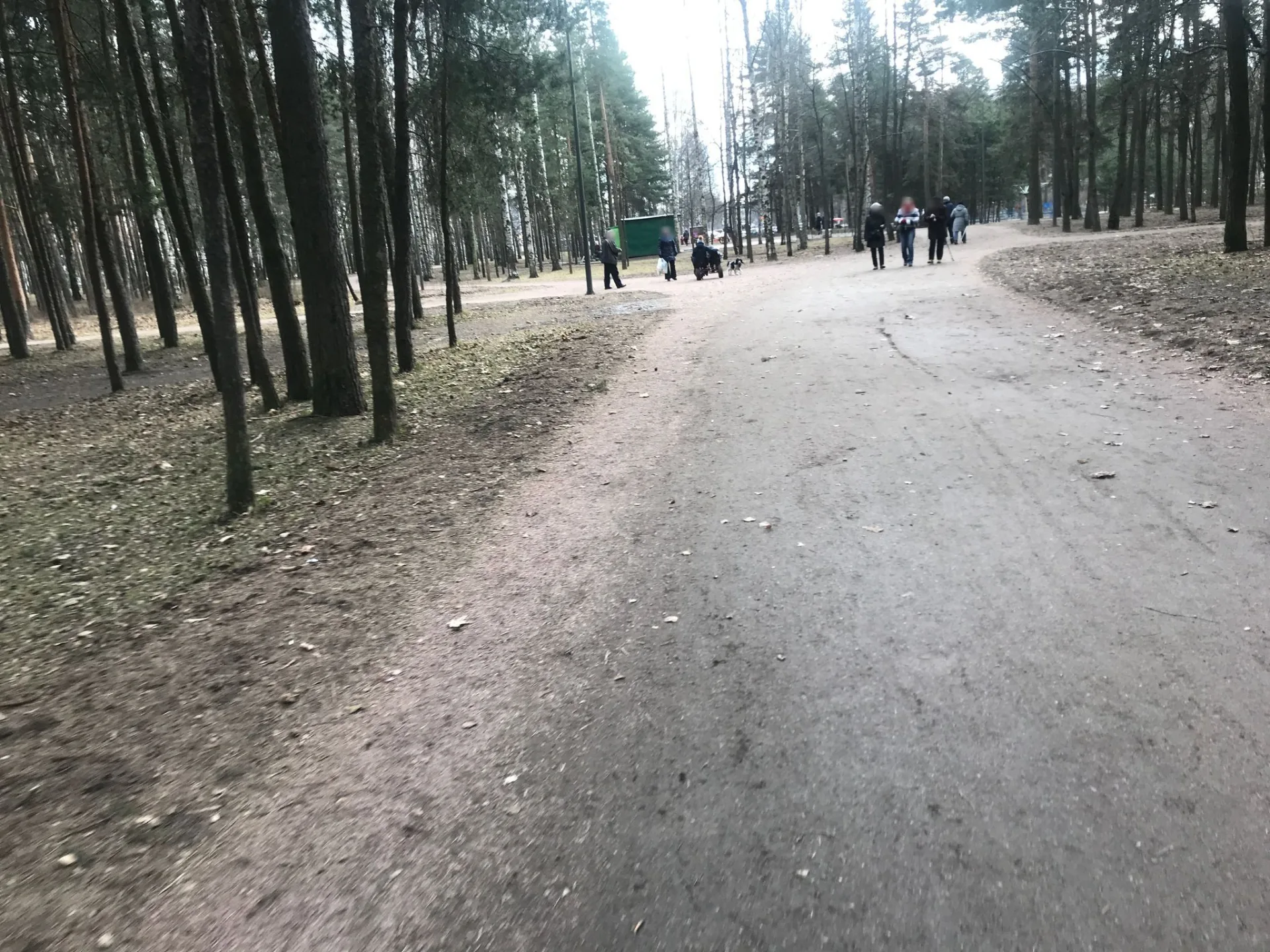Маршрут «От Кушелевки до Сосновки», 14,0 км